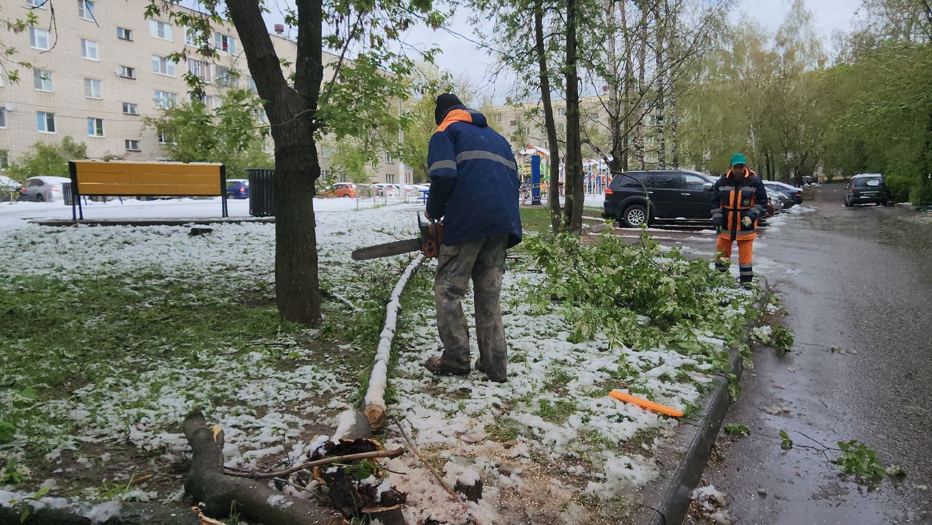 Истра, коммунальная служба, спил деревьев,