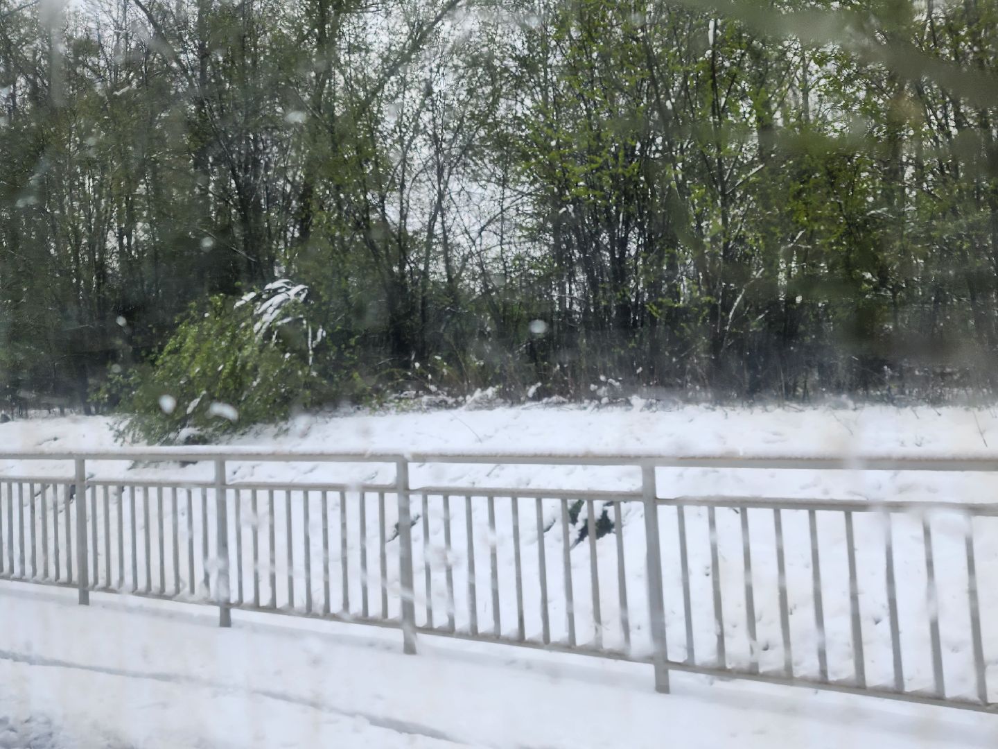 сергиев посад, софрино, электрички, задержки,