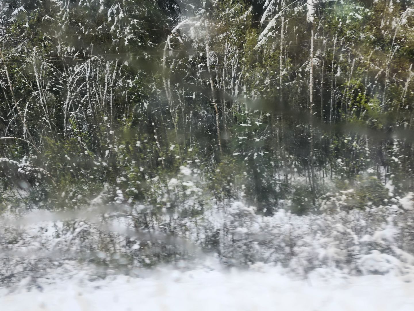 сергиев посад, софрино, электрички, задержки,