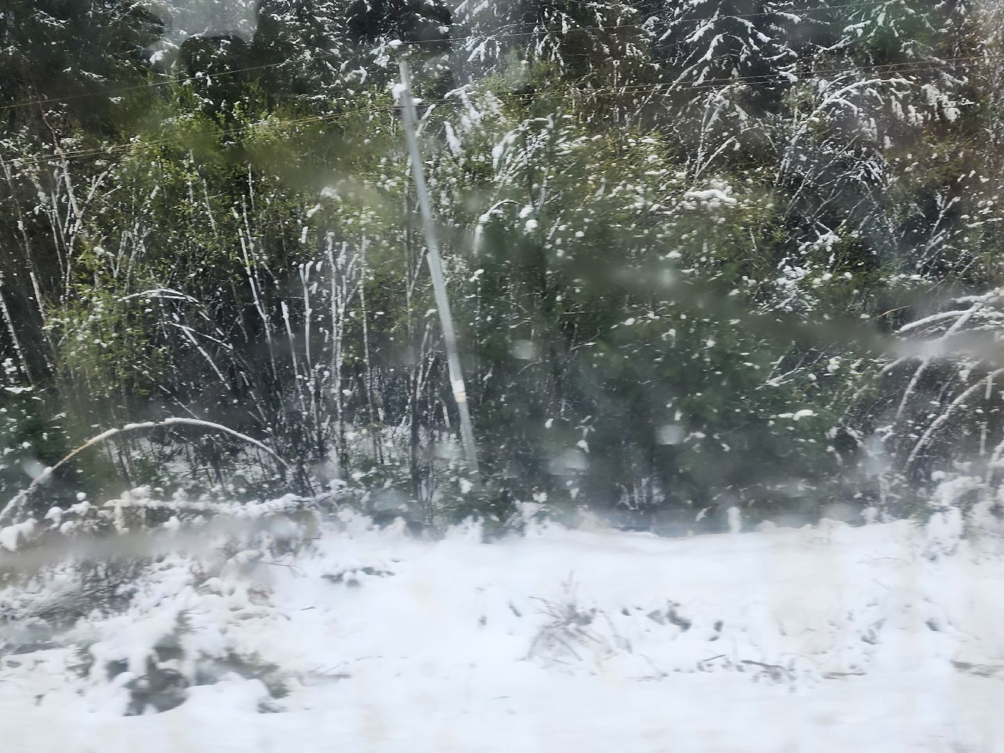 сергиев посад, софрино, электрички, задержки,