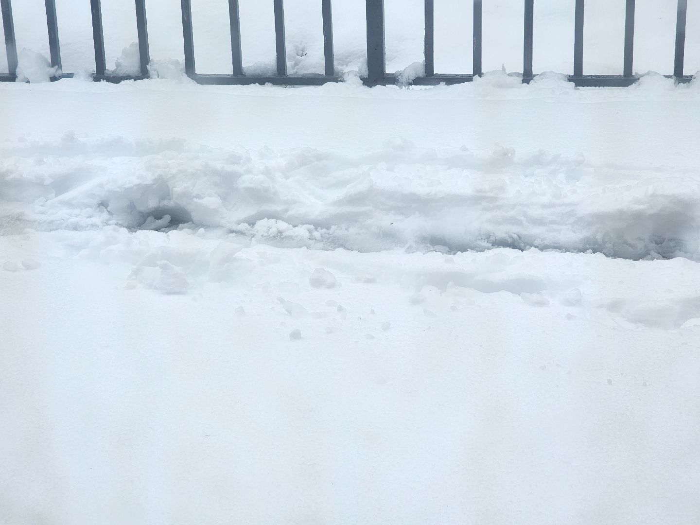 сергиев посад, софрино, электрички, задержки,