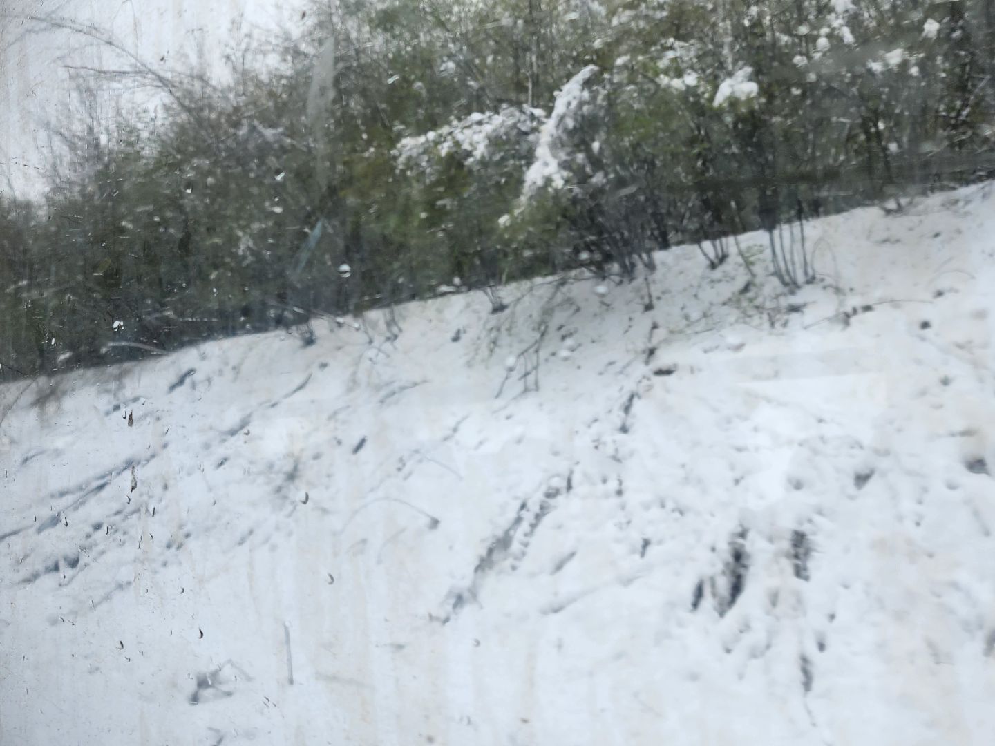 сергиев посад, софрино, электрички, задержки,