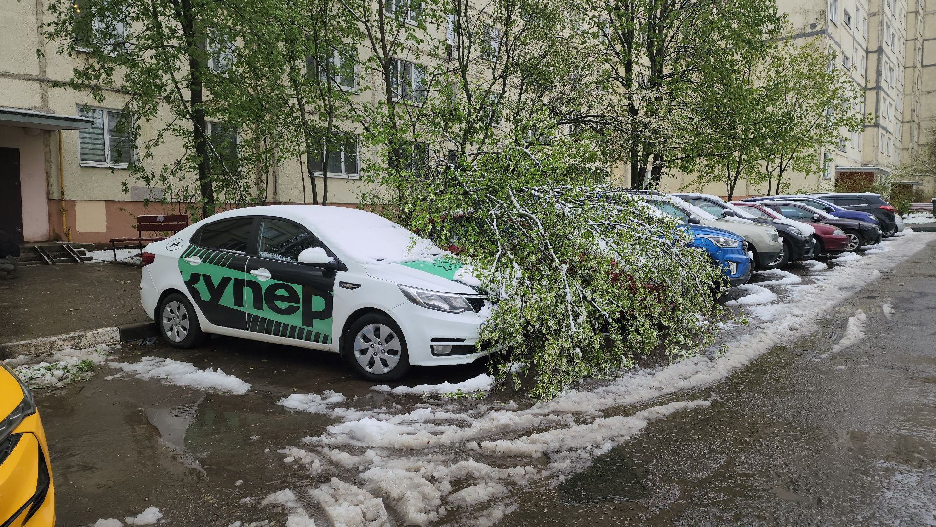 красногорск, снегопад, май, скандинавский циклон, ураган,