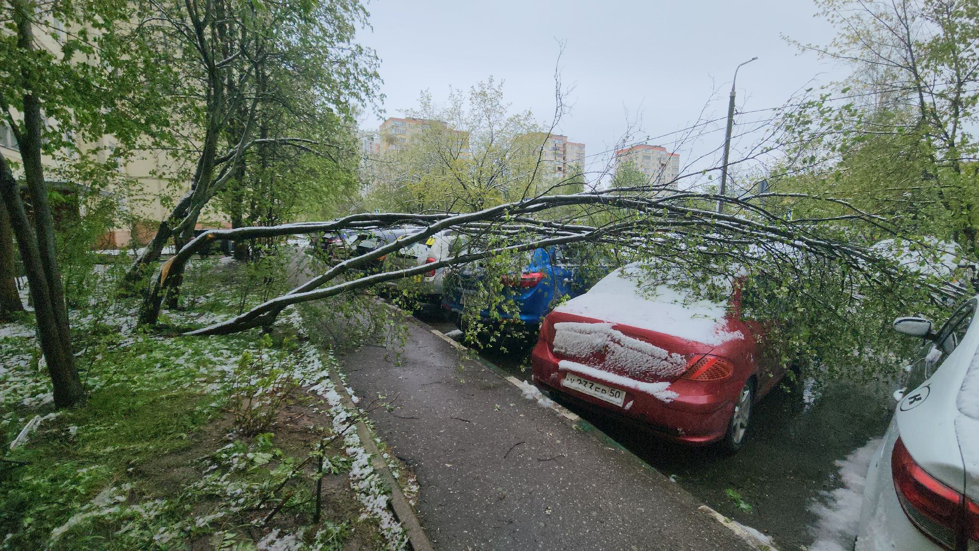 красногорск, снегопад, май, скандинавский циклон, ураган,