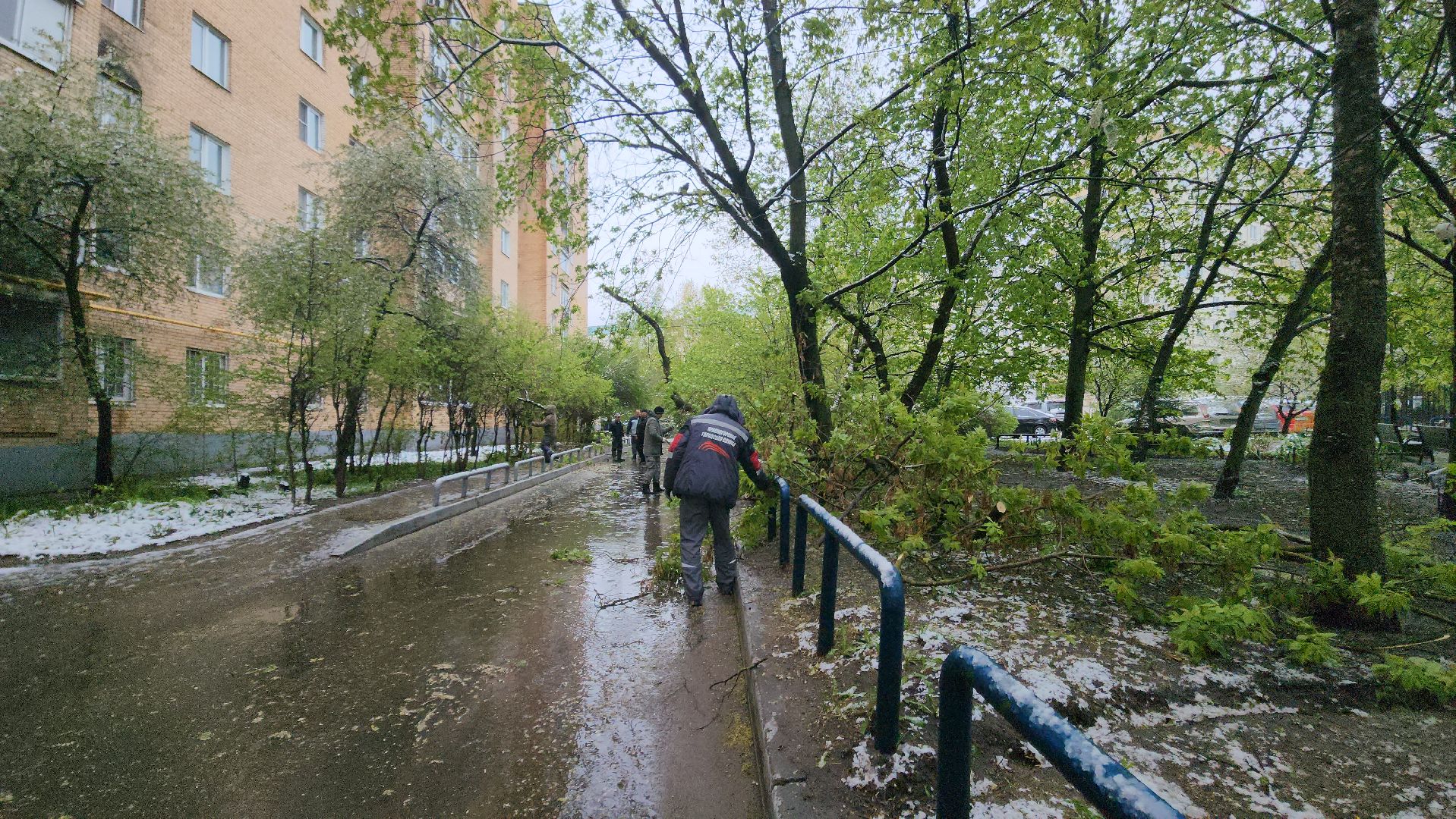 красногорск, снегопад, май, скандинавский циклон, ураган,