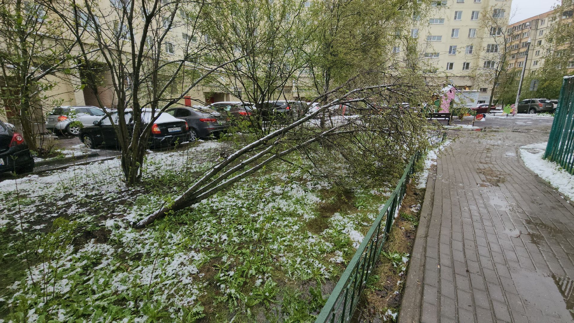 красногорск, снегопад, май, скандинавский циклон, ураган,