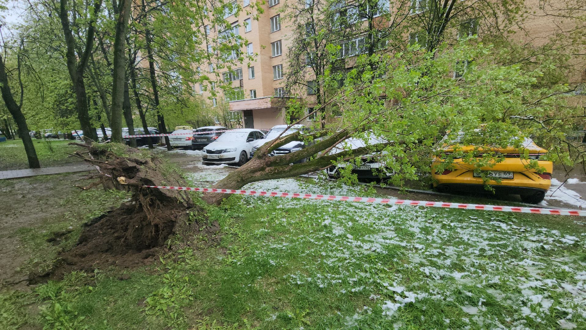 красногорск, снегопад, май, скандинавский циклон, ураган,