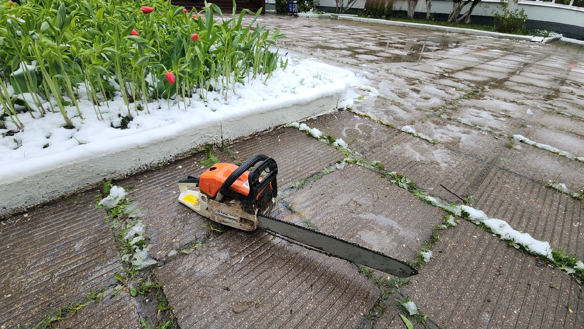 красногорск, снегопад, май, скандинавский циклон, ураган,