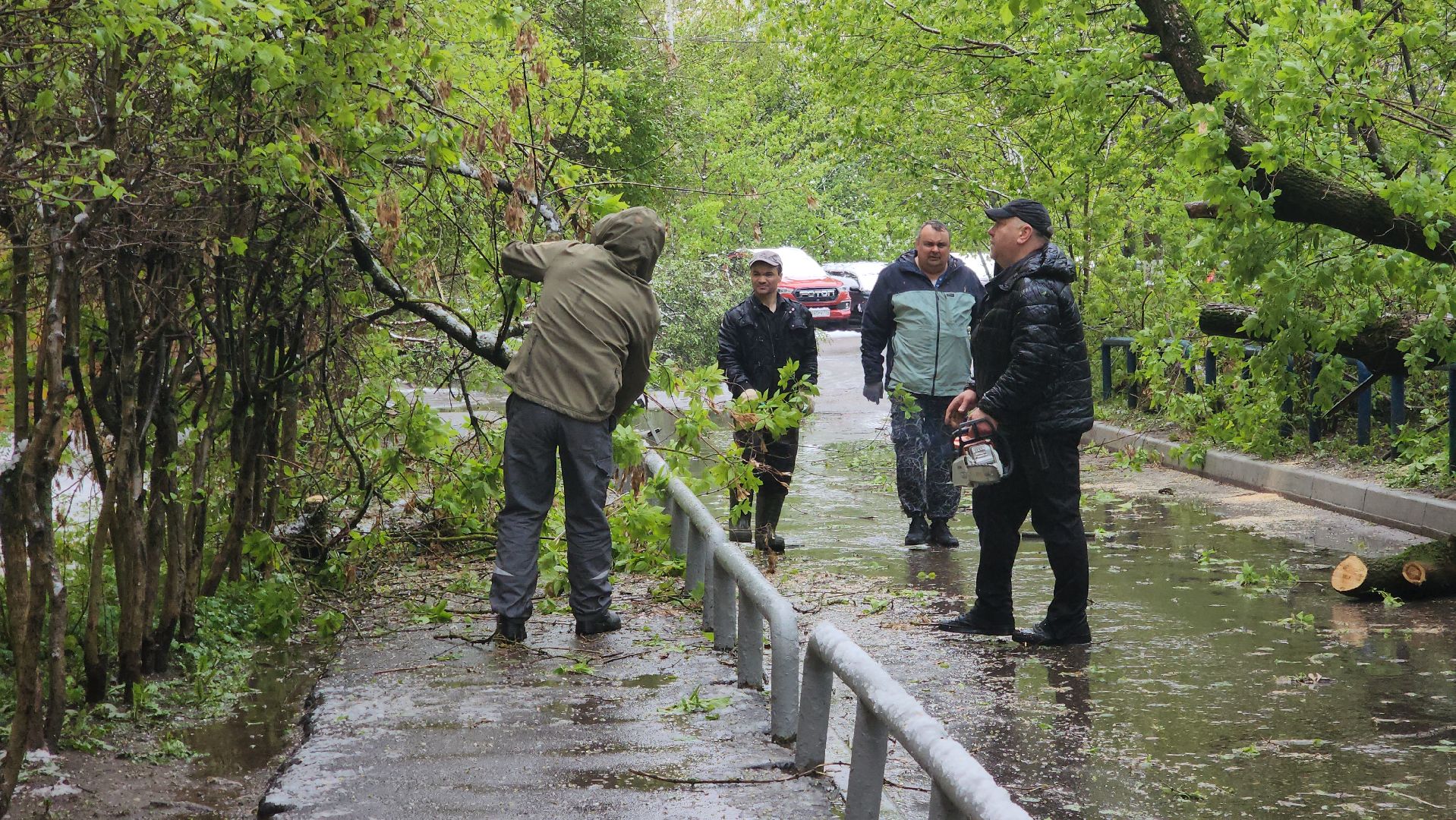красногорск, снегопад, май, скандинавский циклон, ураган,