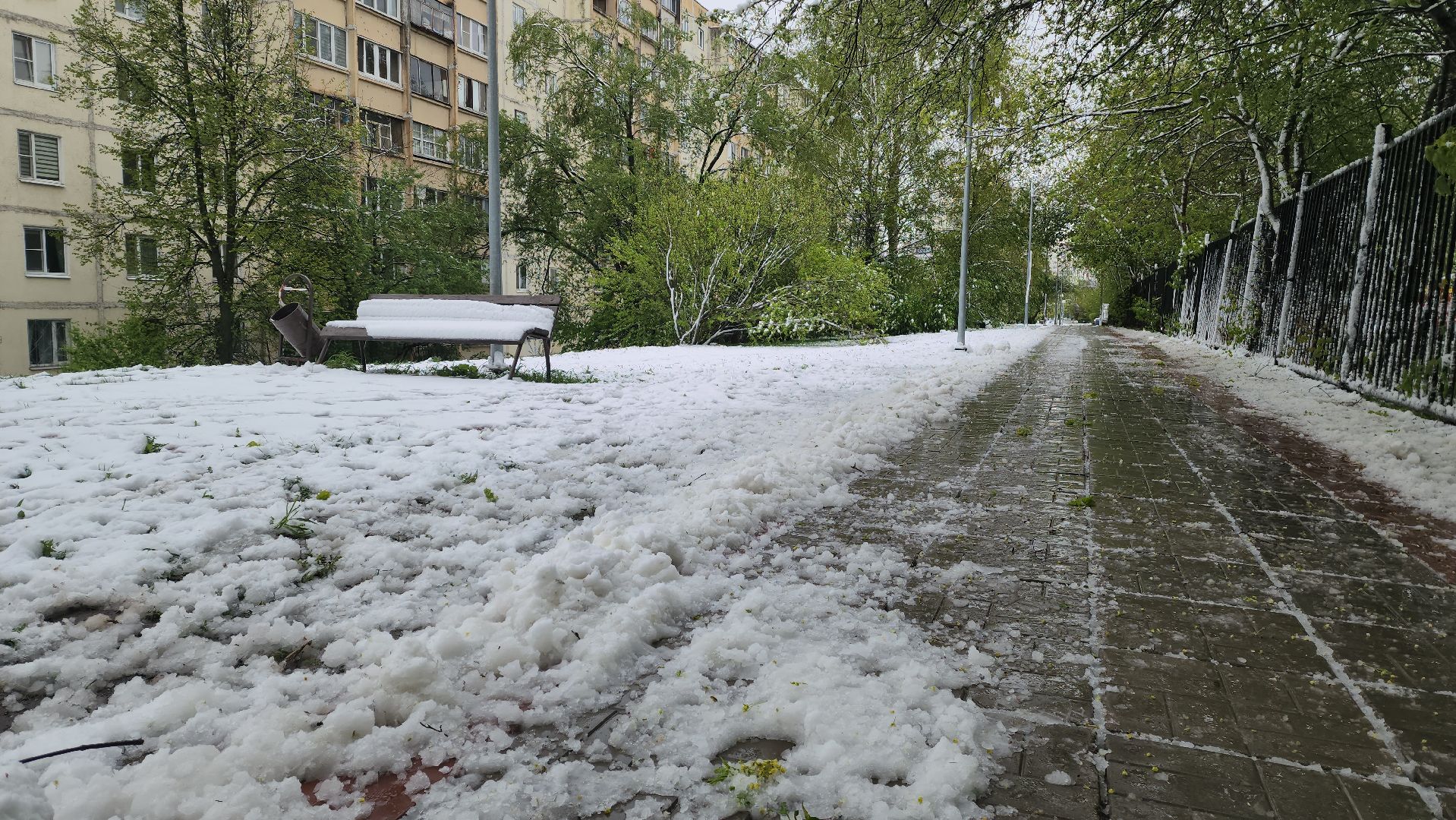 красногорск, снегопад, май, скандинавский циклон, ураган,