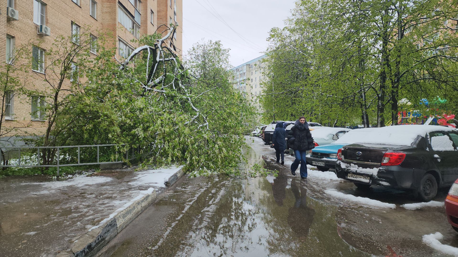 красногорск, снегопад, май, скандинавский циклон, ураган,