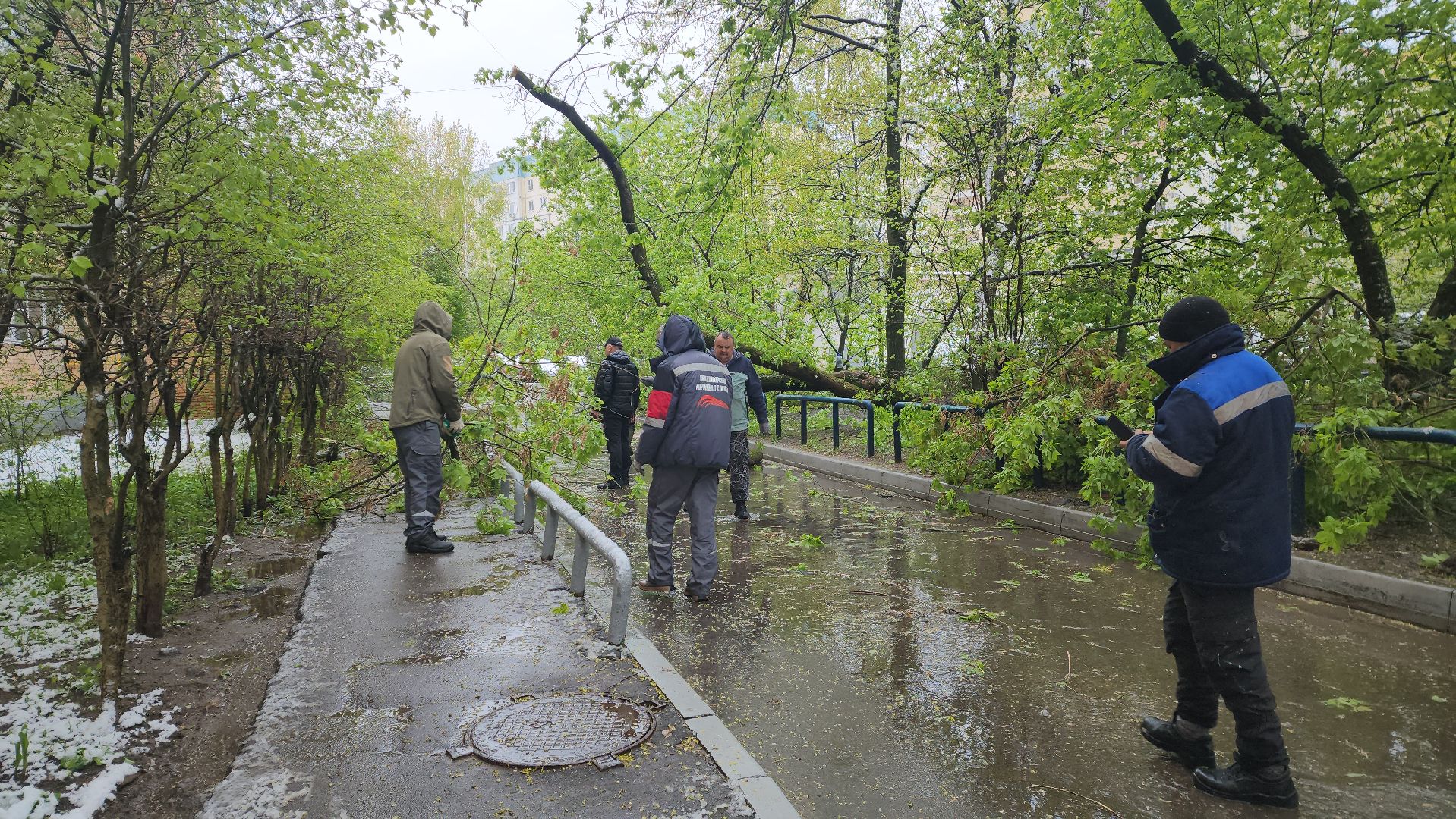 красногорск, снегопад, май, скандинавский циклон, ураган,