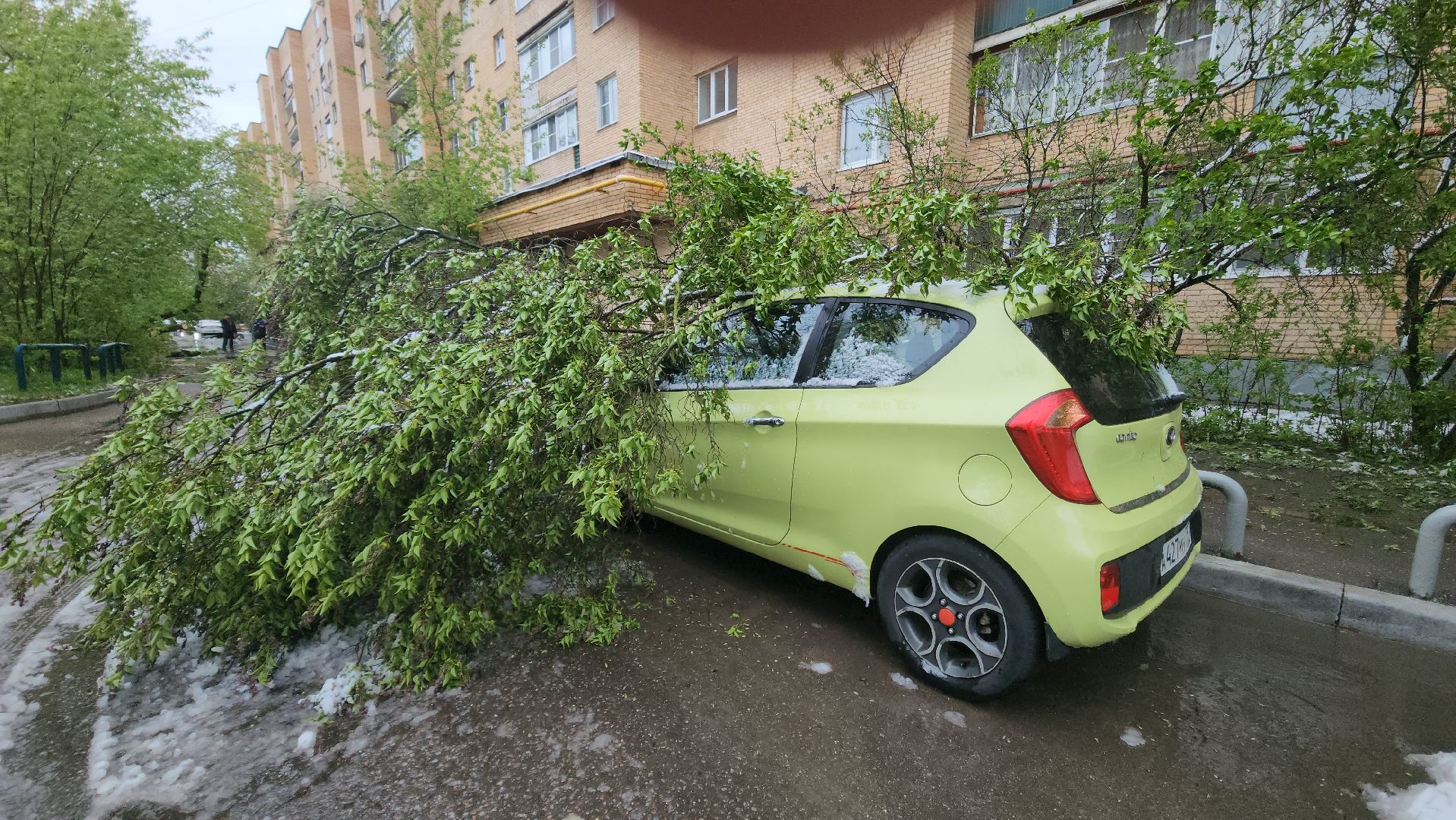 красногорск, снегопад, май, скандинавский циклон, ураган,