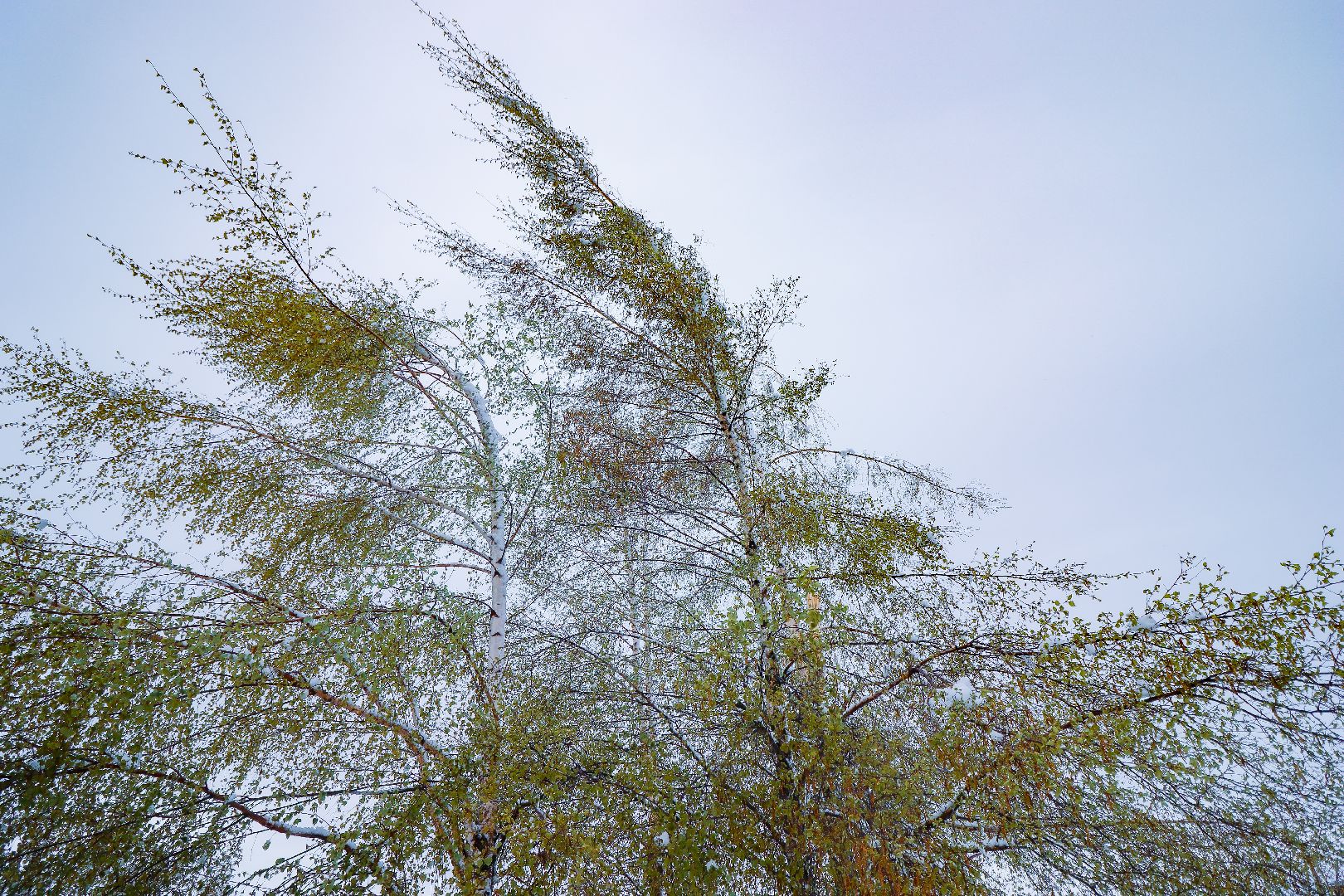 клин, общество, чп, снег в мае, жкх,