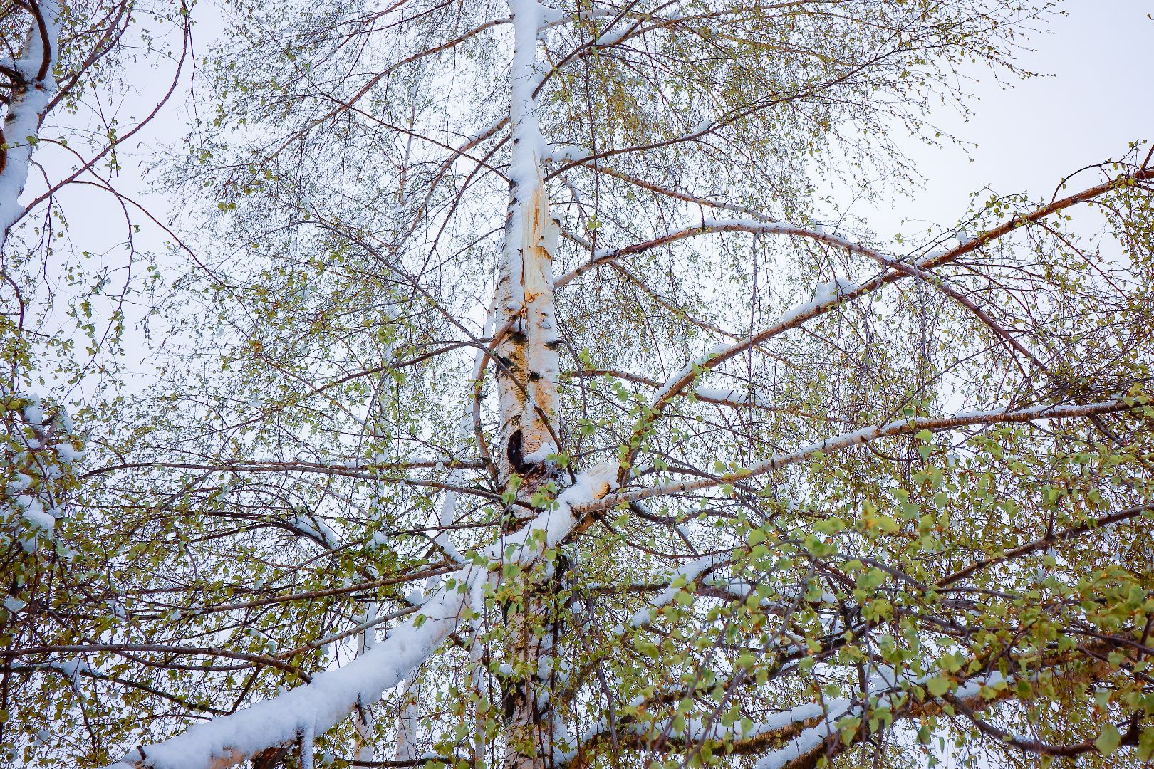 клин, общество, чп, снег в мае, жкх,