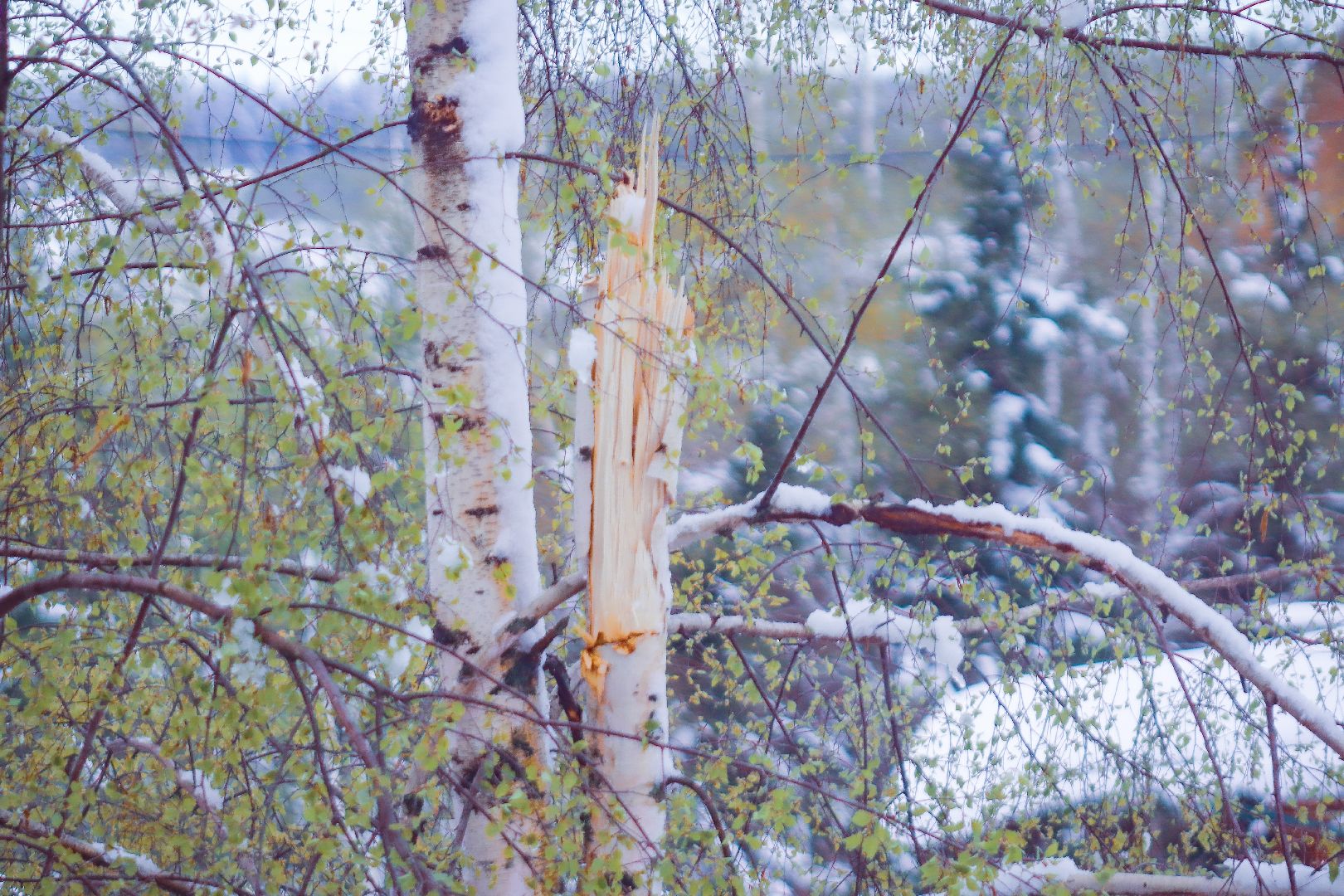 клин, общество, чп, снег в мае, жкх,