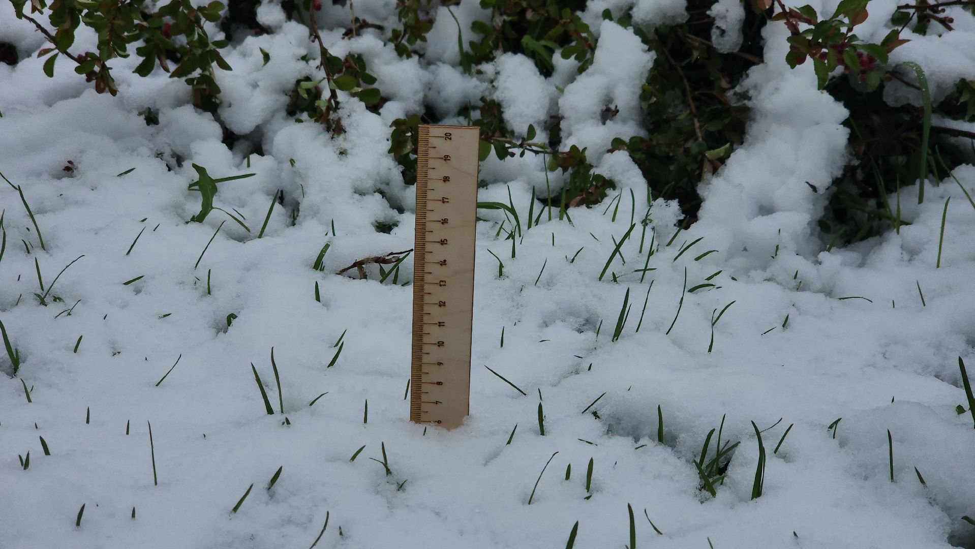 щёлково, снегопад, майский снег, Североатлантический циклон,