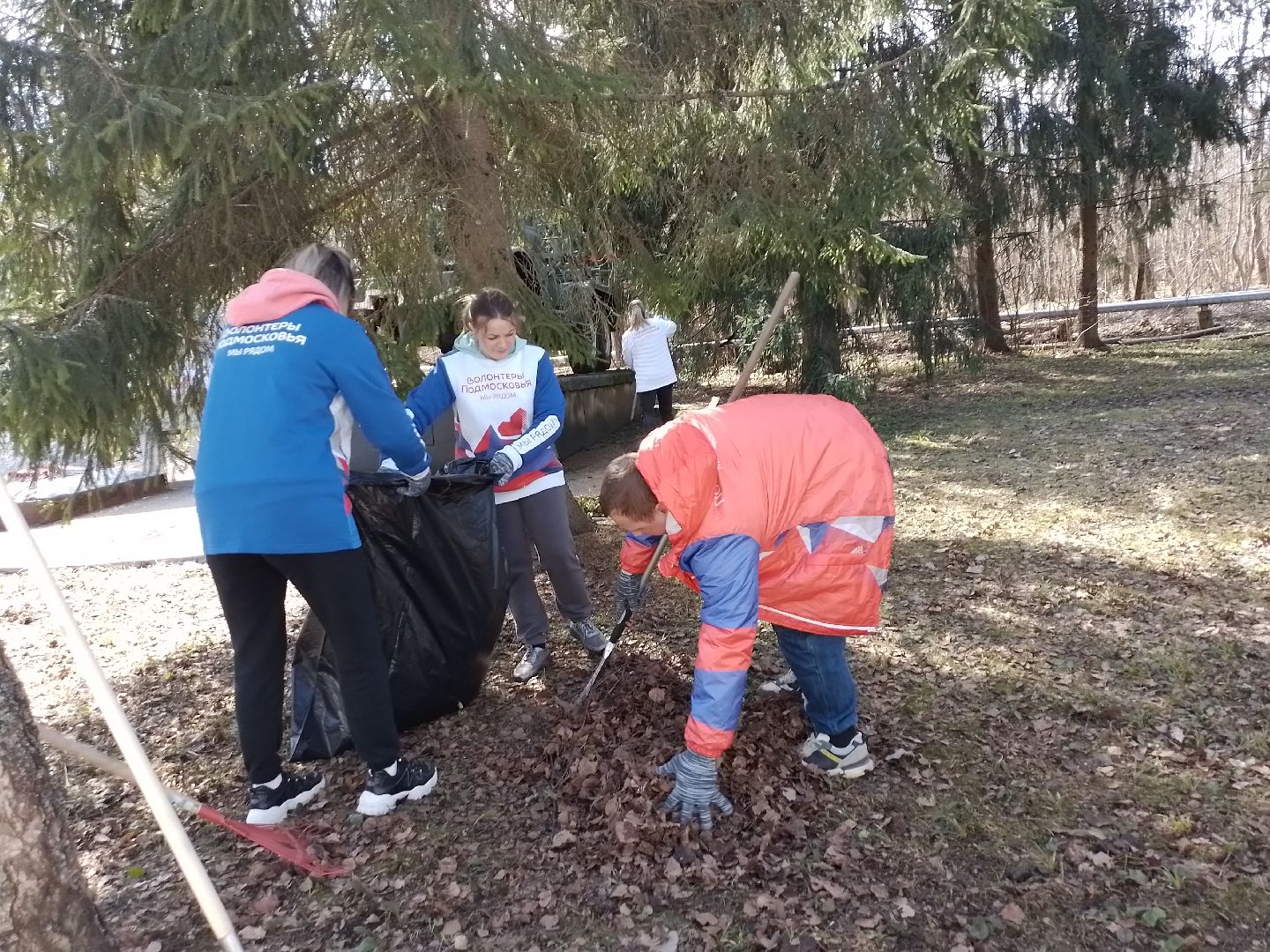 памятник, волонтеры, благоустройсво, городской округ восход,