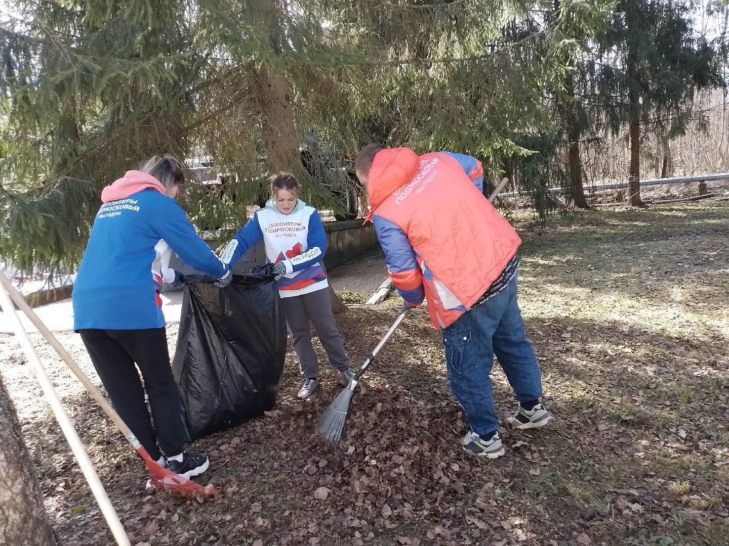 памятник, волонтеры, благоустройсво, городской округ восход,