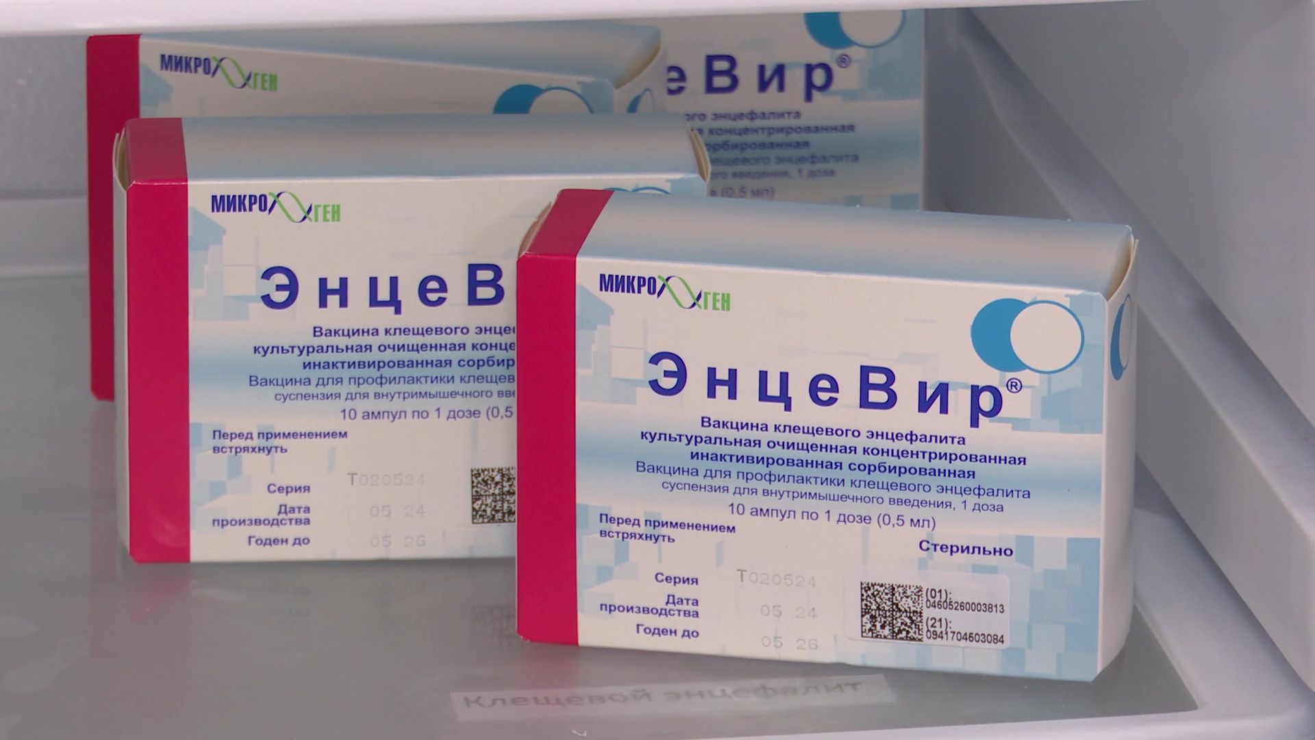 Реутов, медицина,  вакцинация, клещи, энцефалит, боррелиоз, болезнь лайма,