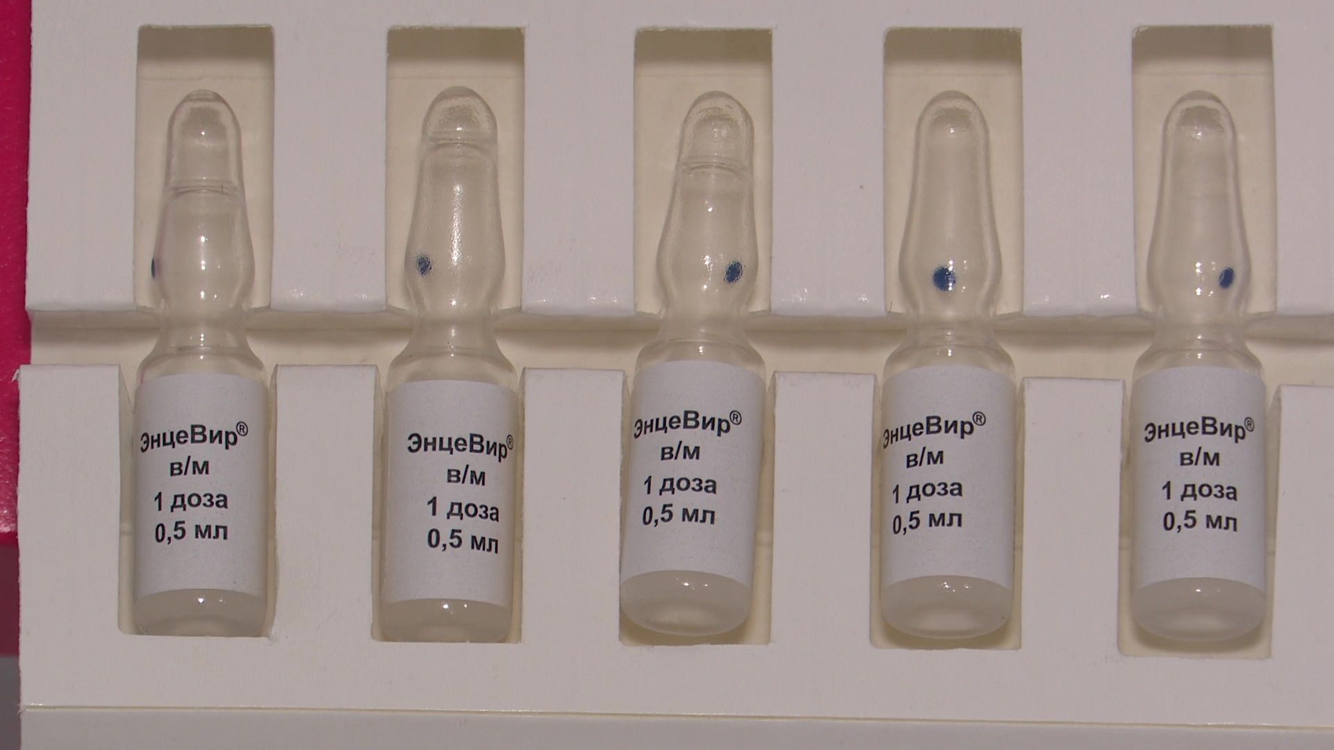 Реутов, медицина,  вакцинация, клещи, энцефалит, боррелиоз, болезнь лайма,