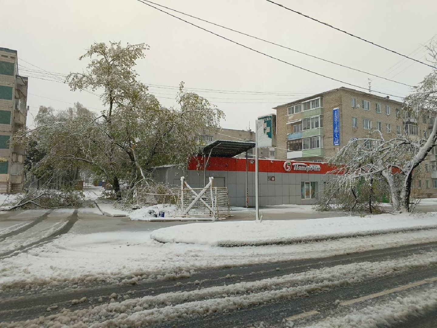 Жкх, Хотьково, Упавшие деревья, Сергиево-Посадский городской округ ,