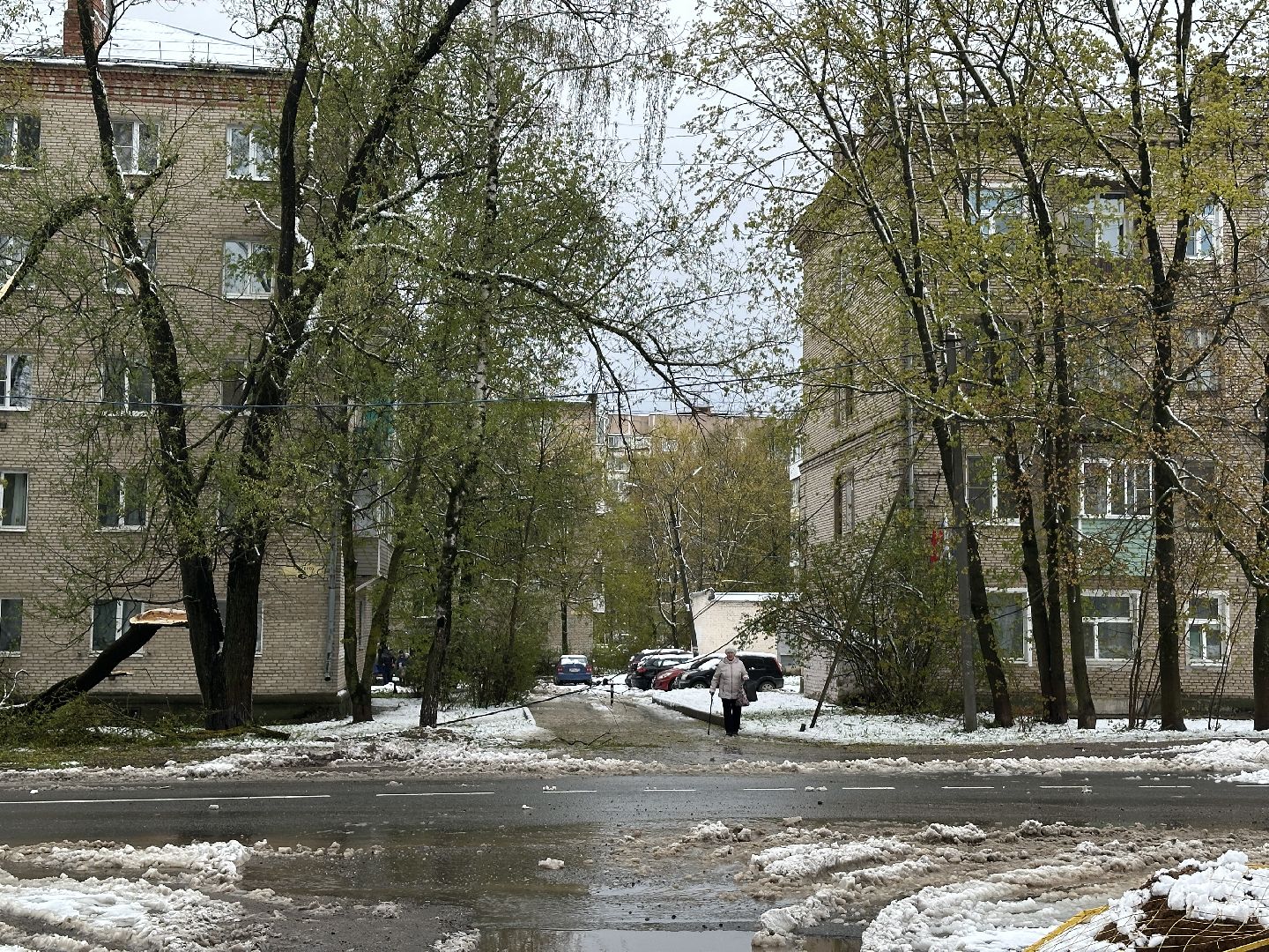 Жкх, Хотьково, Упавшие деревья, Сергиево-Посадский городской округ ,