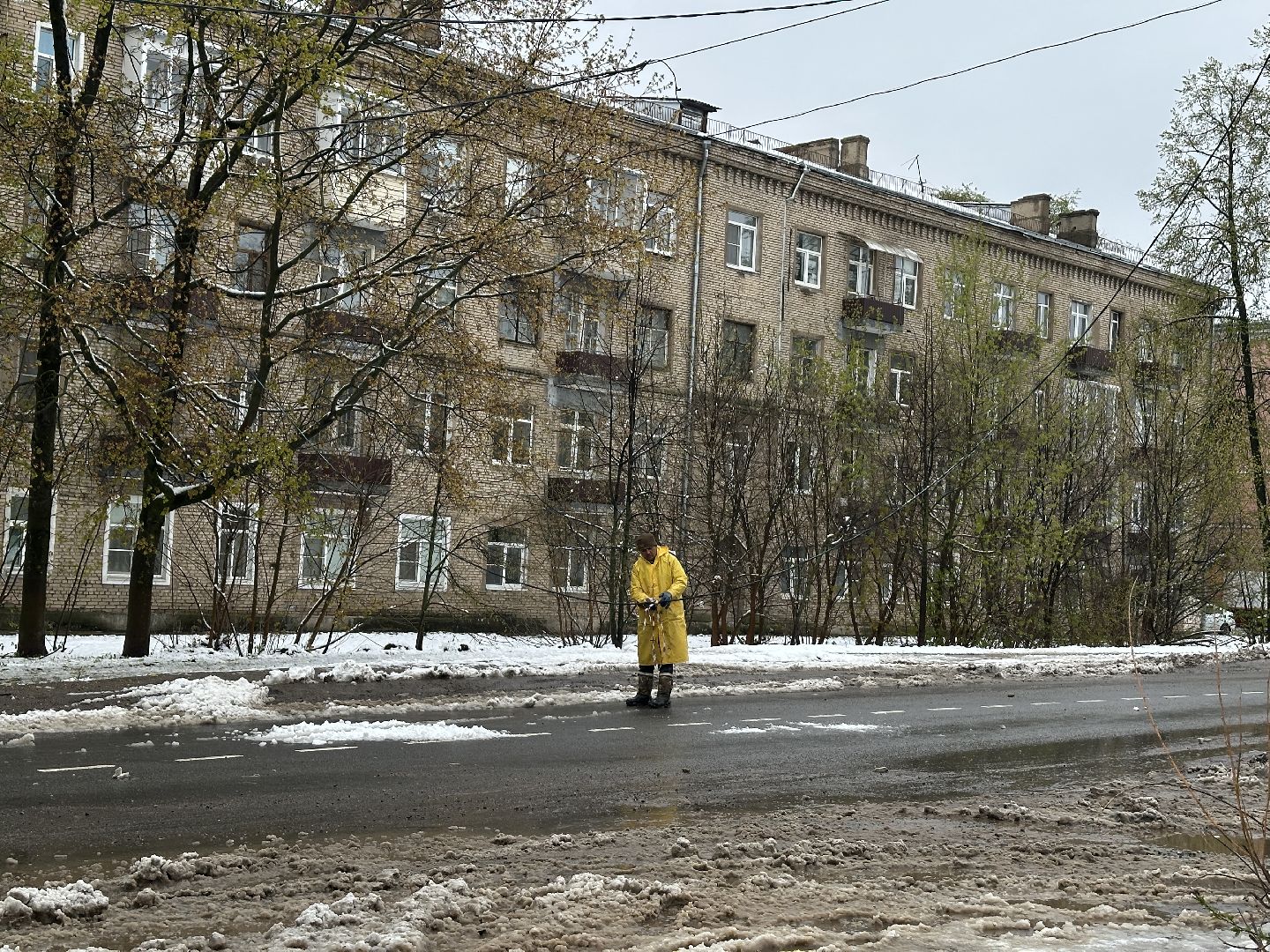 Жкх, Хотьково, Упавшие деревья, Сергиево-Посадский городской округ ,