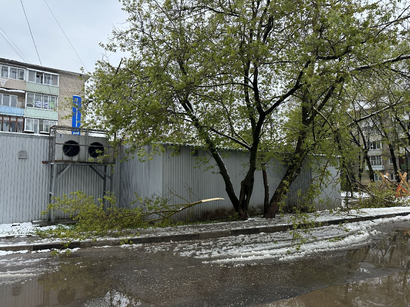 Жкх, Хотьково, Упавшие деревья, Сергиево-Посадский городской округ ,