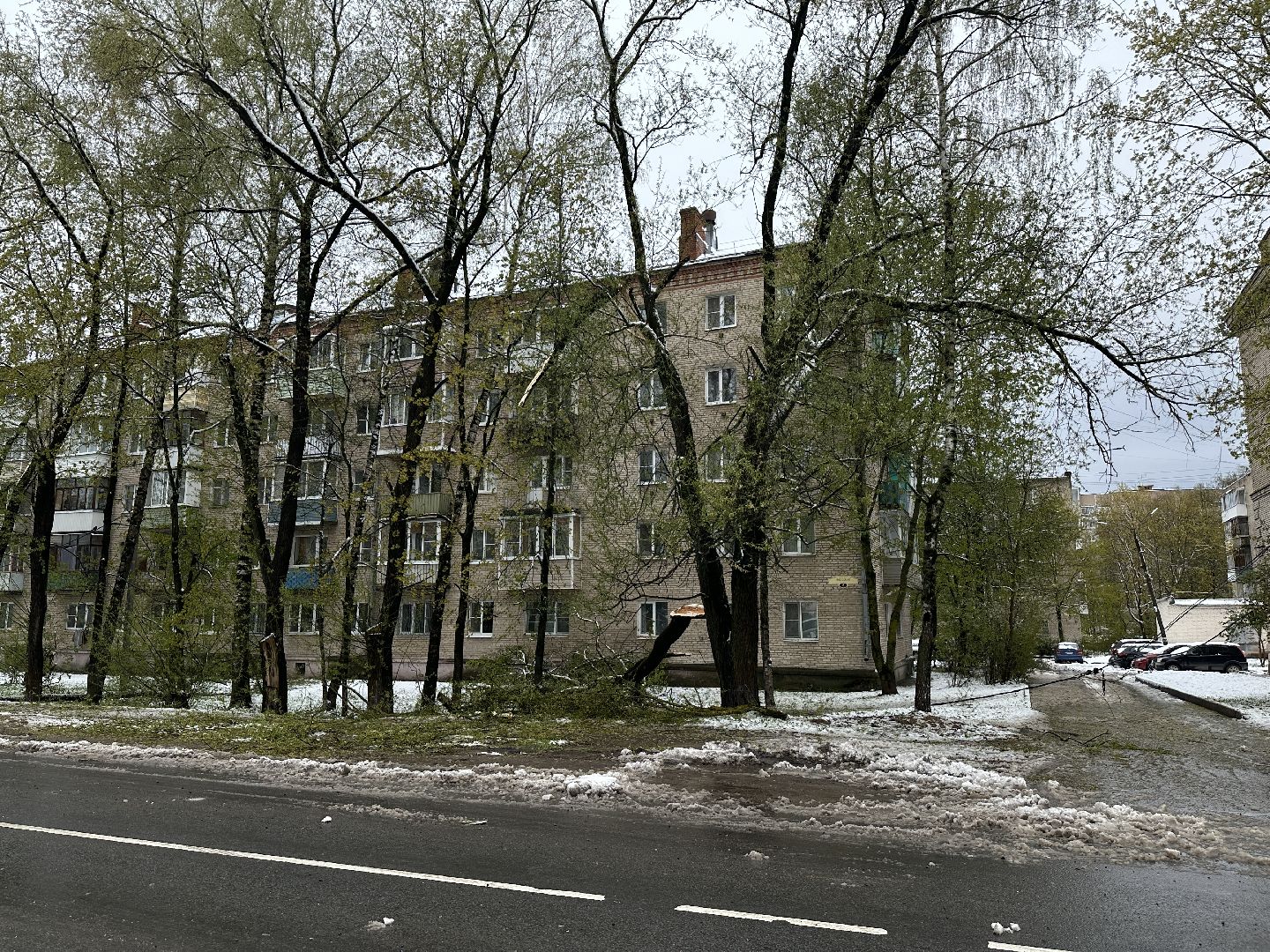 Жкх, Хотьково, Упавшие деревья, Сергиево-Посадский городской округ ,