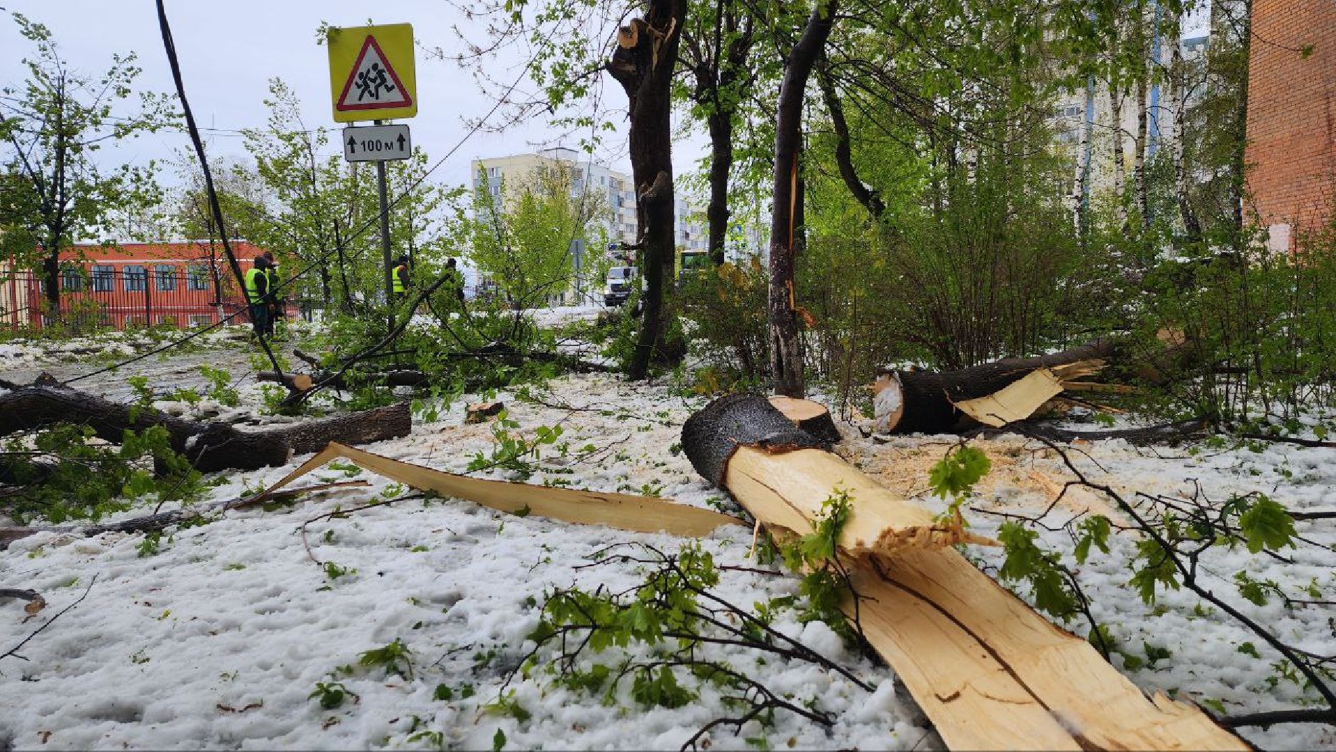 Дмитров, ЧП, Скандинавский циклон, Россети,