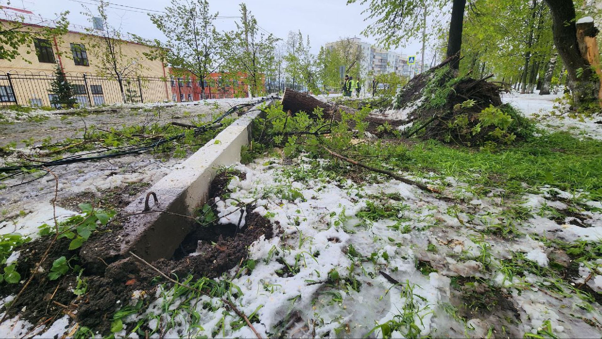 Дмитров, ЧП, Скандинавский циклон, Россети,