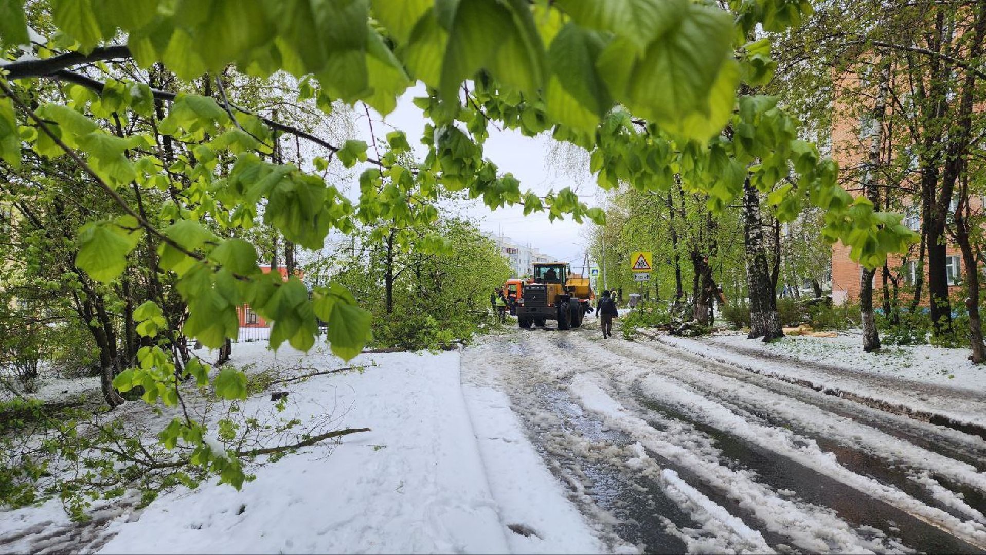 Дмитров, ЧП, Скандинавский циклон, Россети,