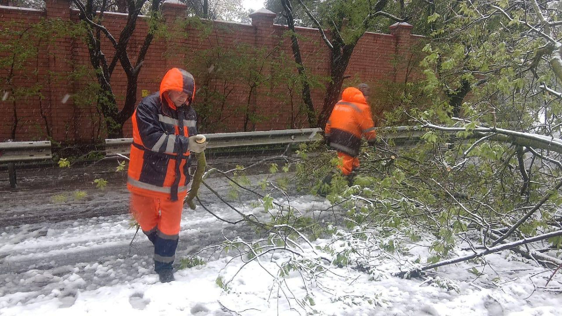 пушкино, снегопад, коммунальная служба,коммунальная техника,