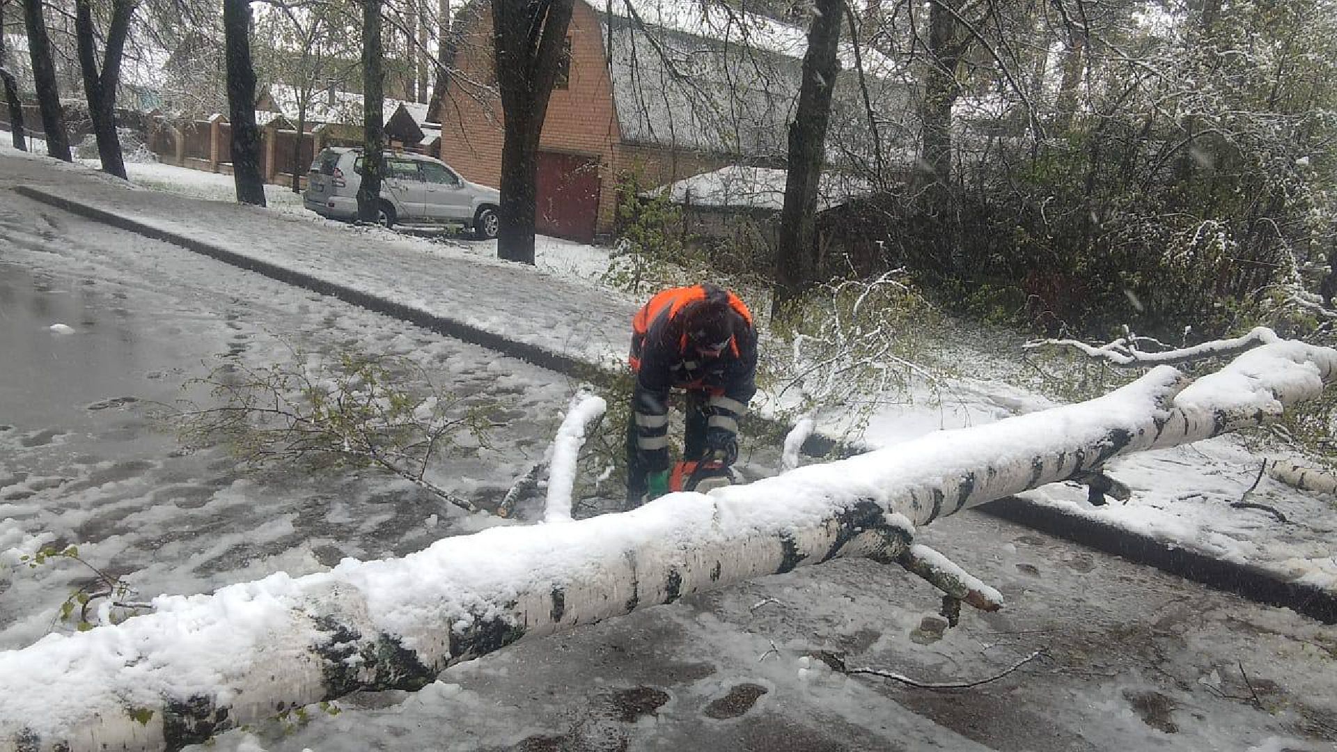 пушкино, снегопад, коммунальная служба,коммунальная техника,