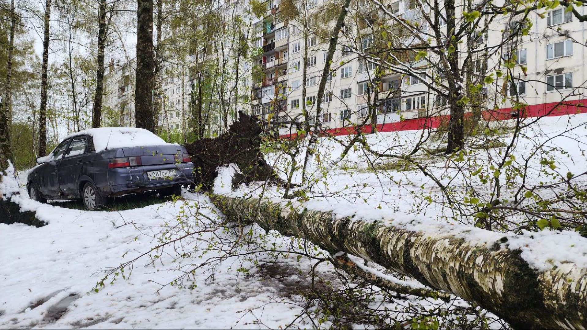 Дмитров, ЧП, Скандинавский циклон, Благоустройство,