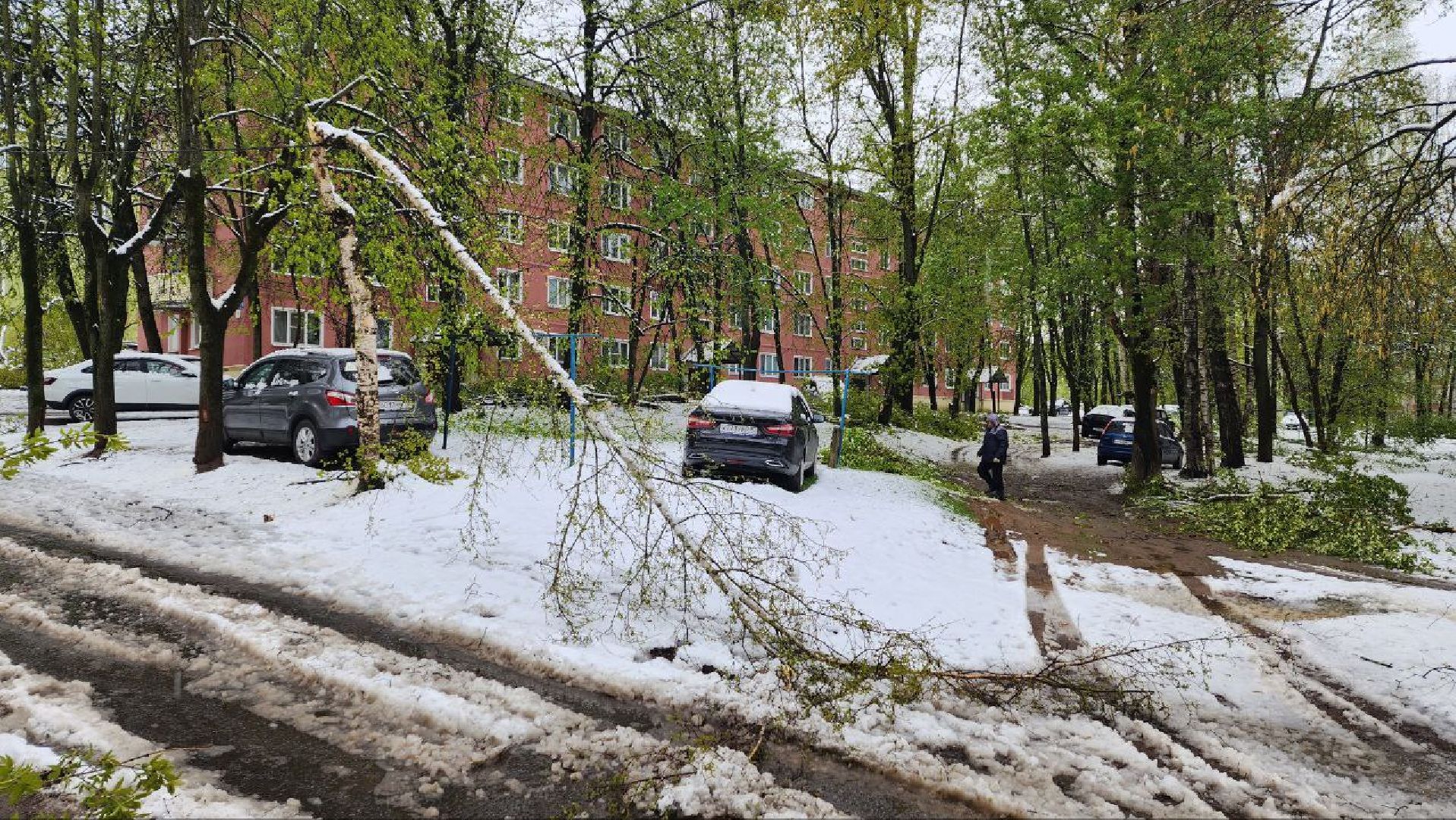 Дмитров, ЧП, Скандинавский циклон, Благоустройство,