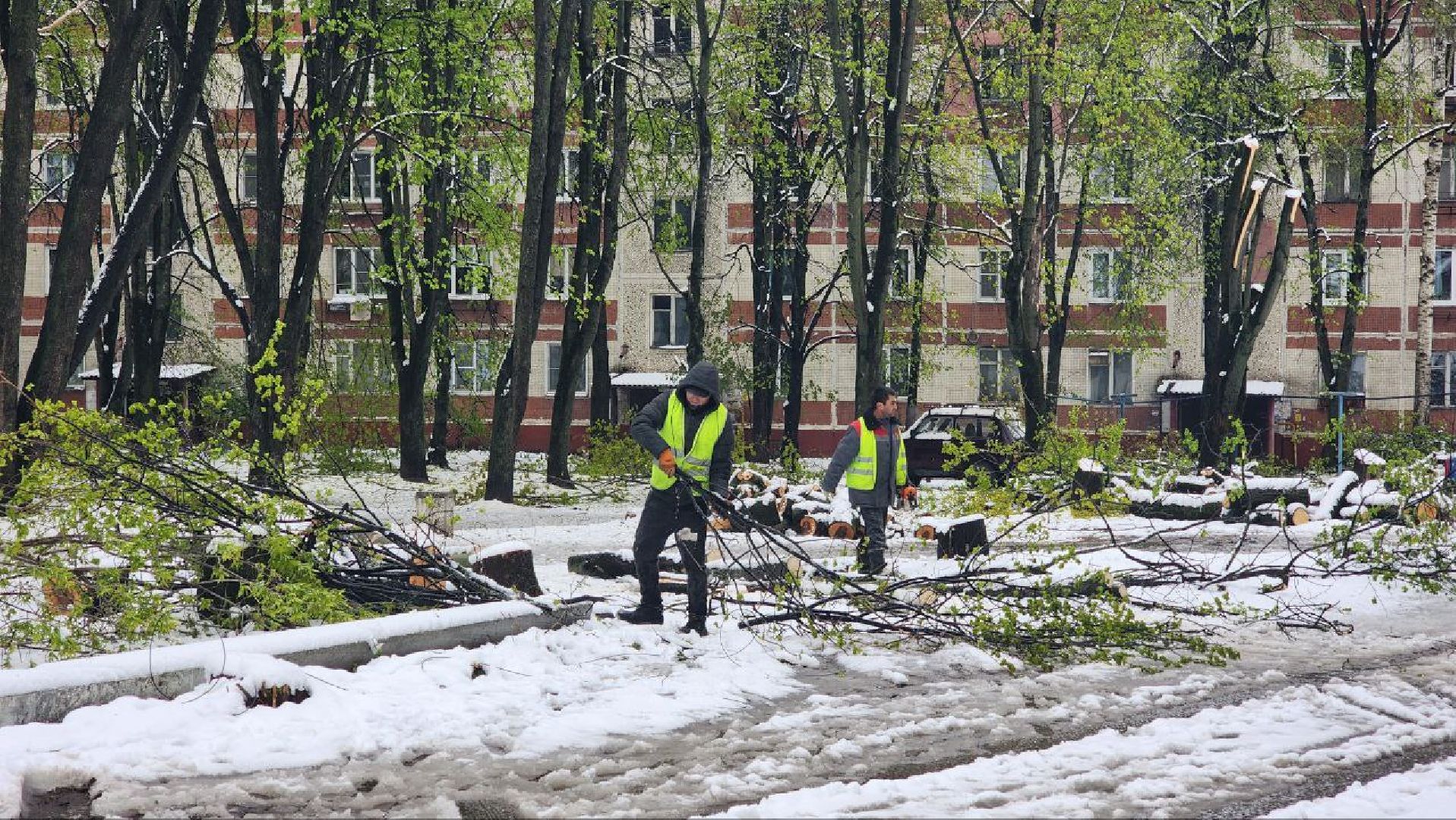Дмитров, ЧП, Скандинавский циклон, Благоустройство,