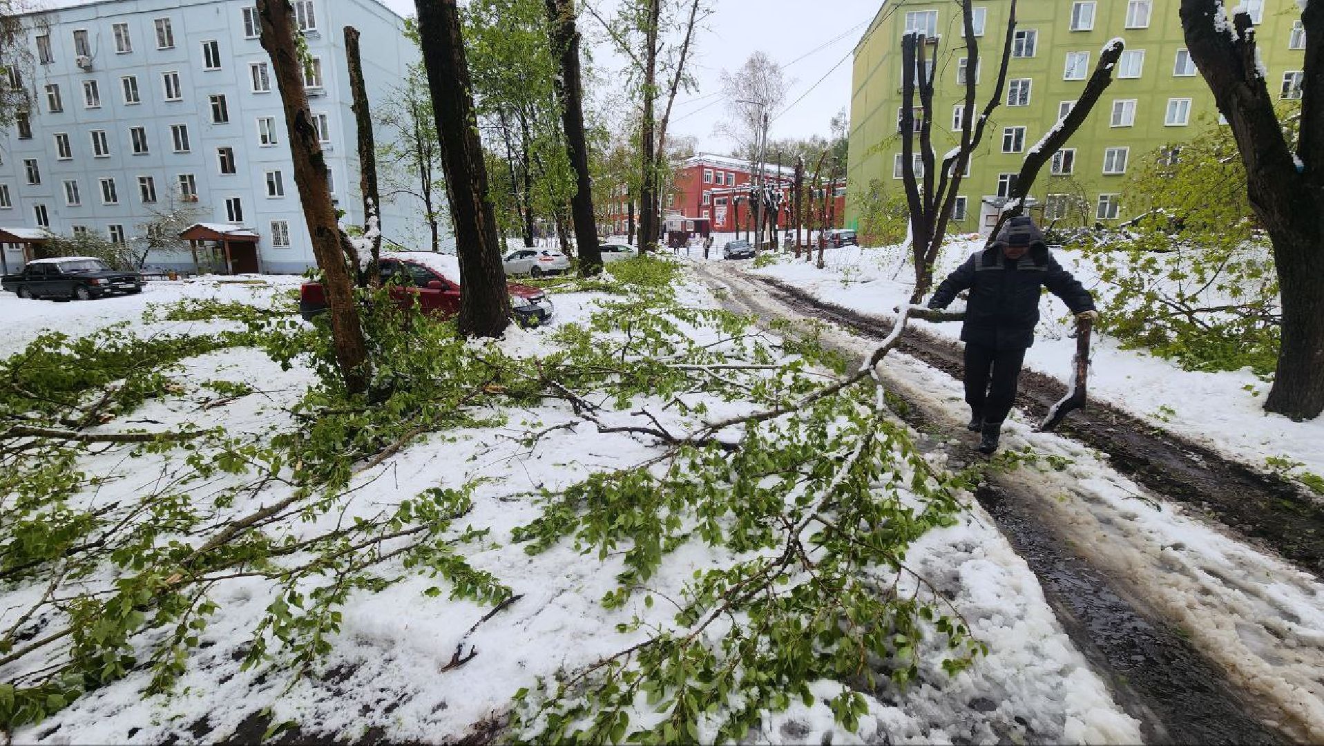 Дмитров, ЧП, Скандинавский циклон, Благоустройство,