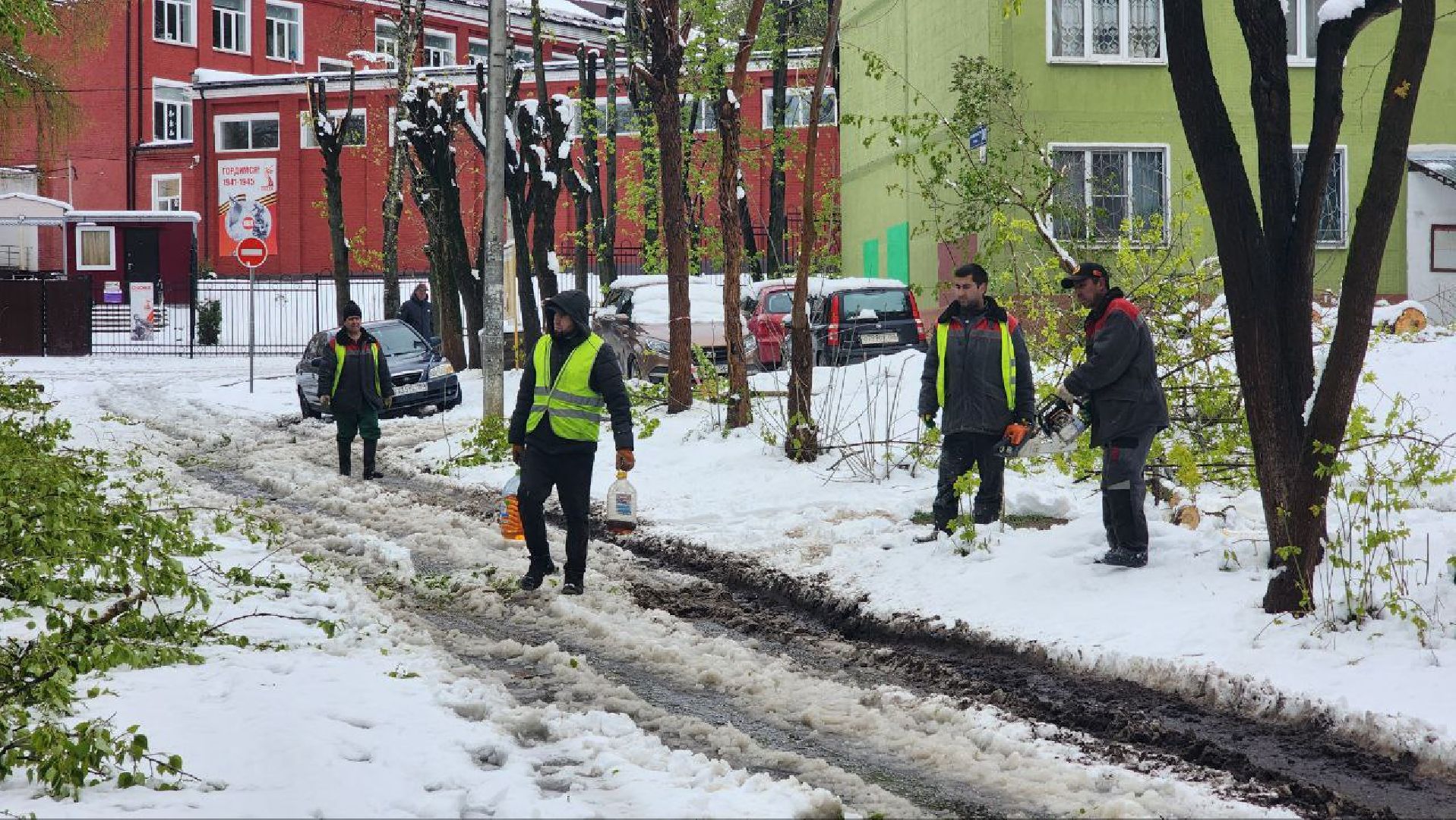 Дмитров, ЧП, Скандинавский циклон, Благоустройство,