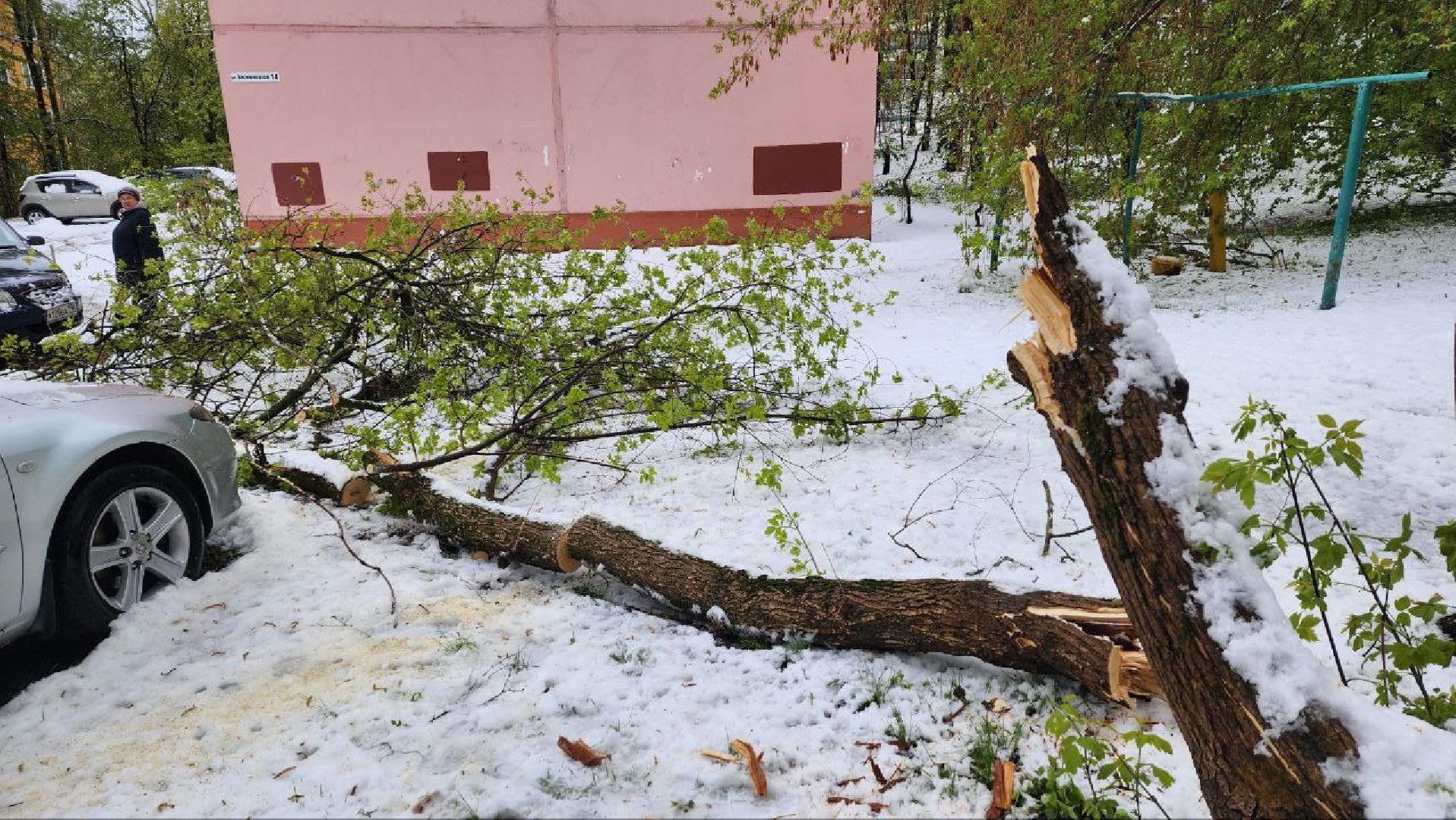 Дмитров, ЧП, Скандинавский циклон, Благоустройство,