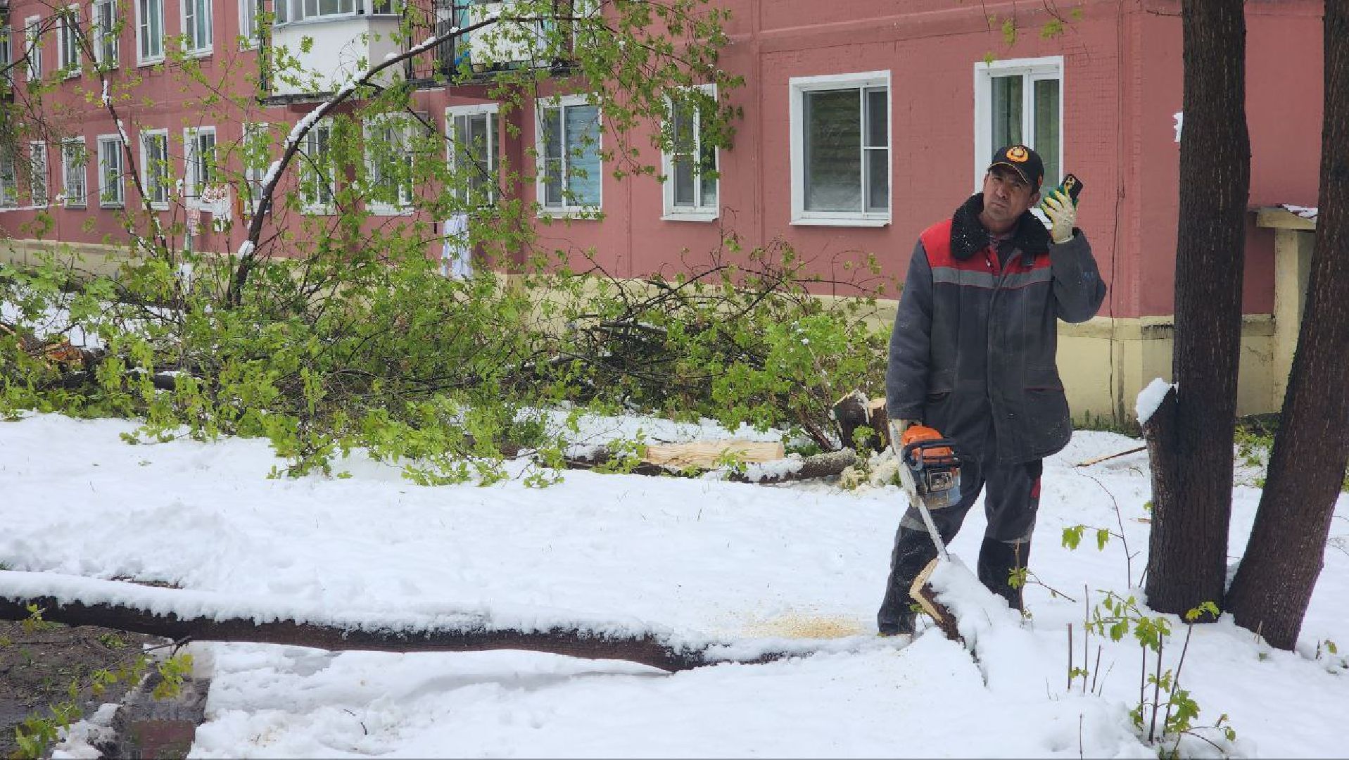 Дмитров, ЧП, Скандинавский циклон, Благоустройство,
