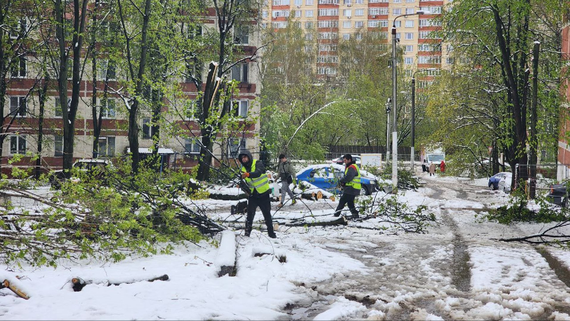 Дмитров, ЧП, Скандинавский циклон, Благоустройство,