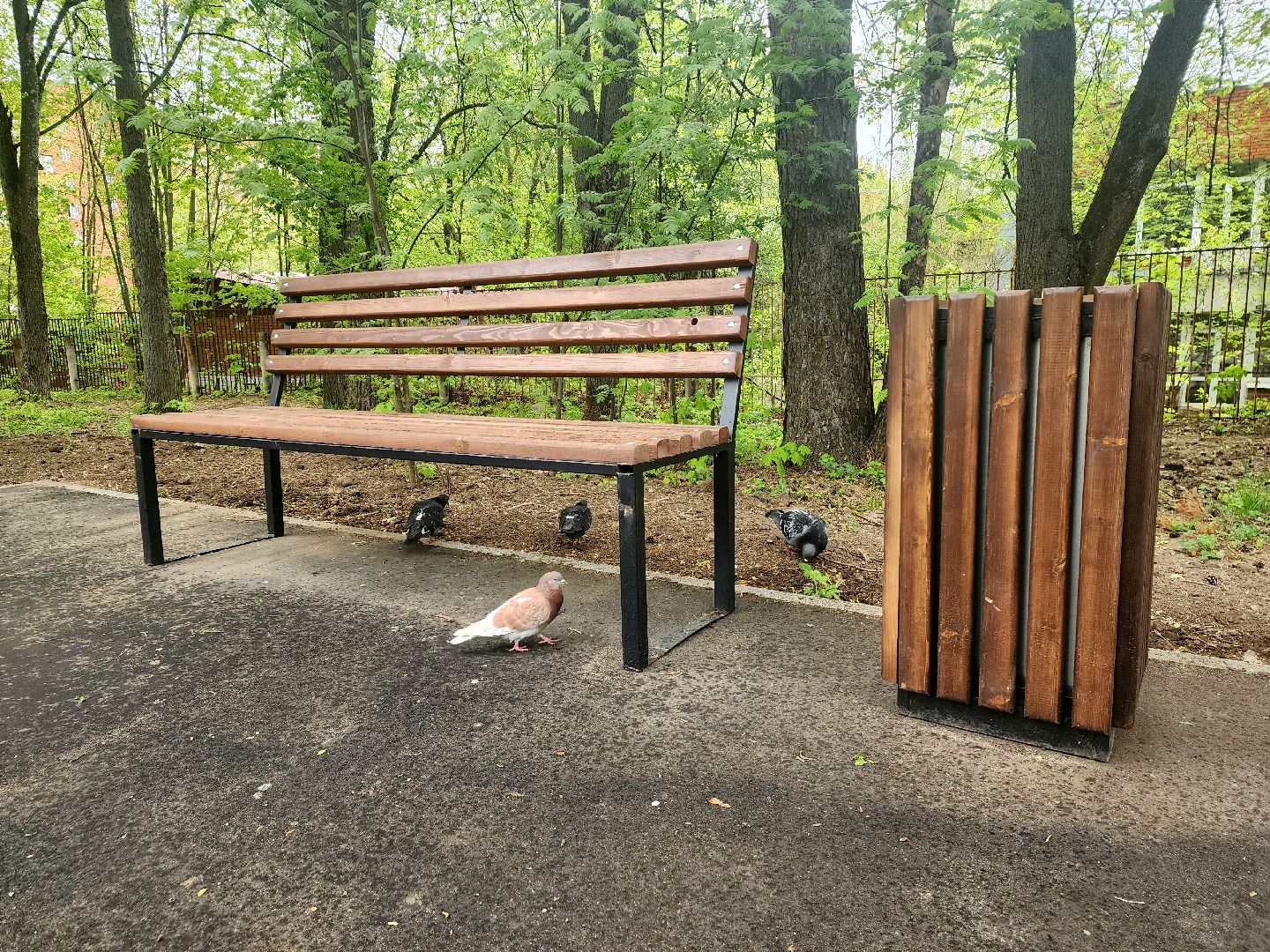 пущино, серпухов, благоустройство,