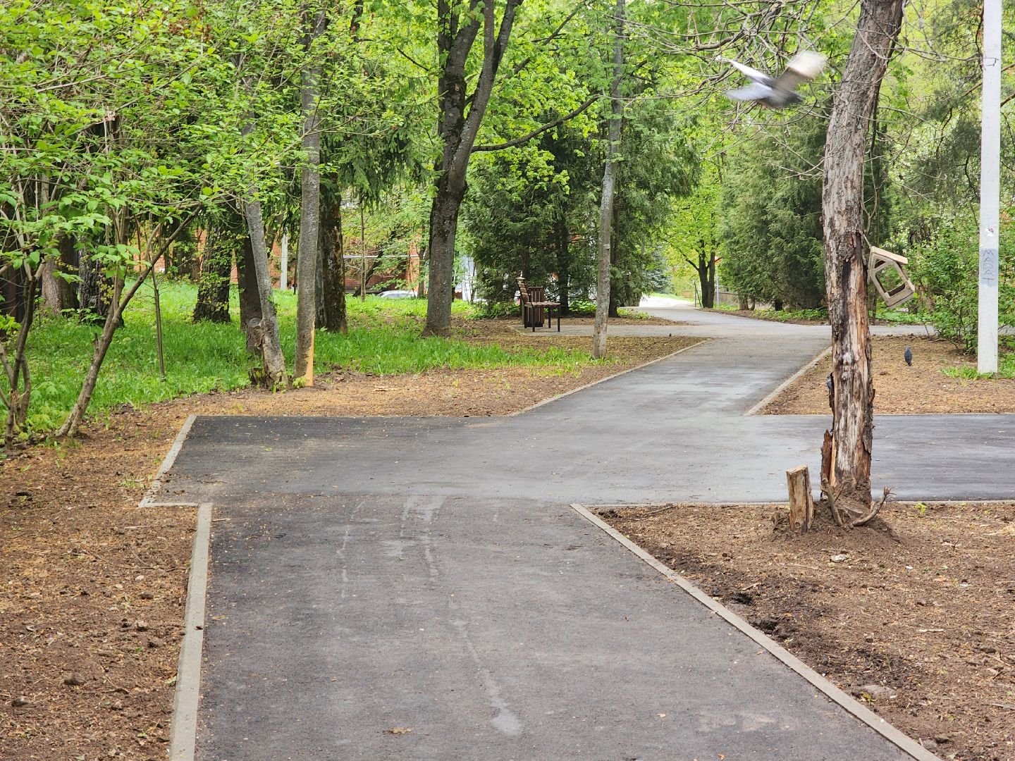 пущино, серпухов, благоустройство,