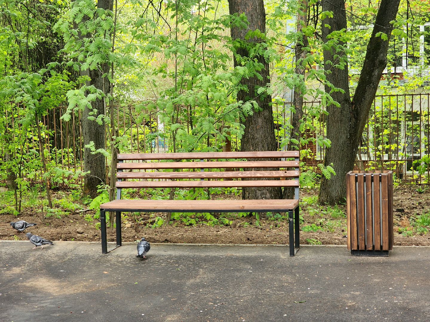 пущино, серпухов, благоустройство,