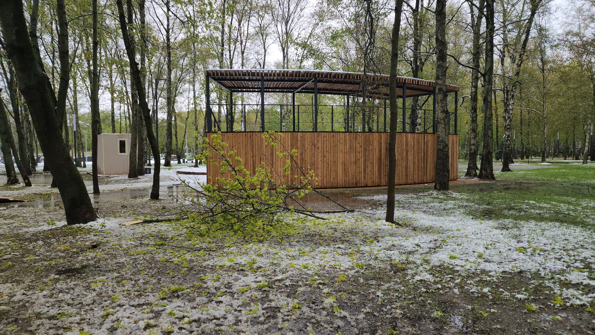 последствия непогоды, упавшие деревья, Лобня, Парк,