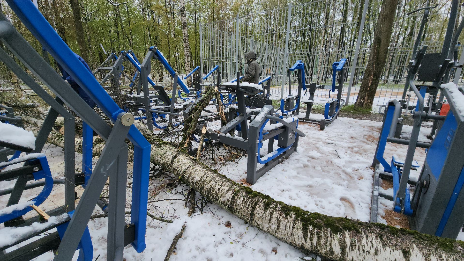 последствия непогоды, упавшие деревья, Лобня, Парк,