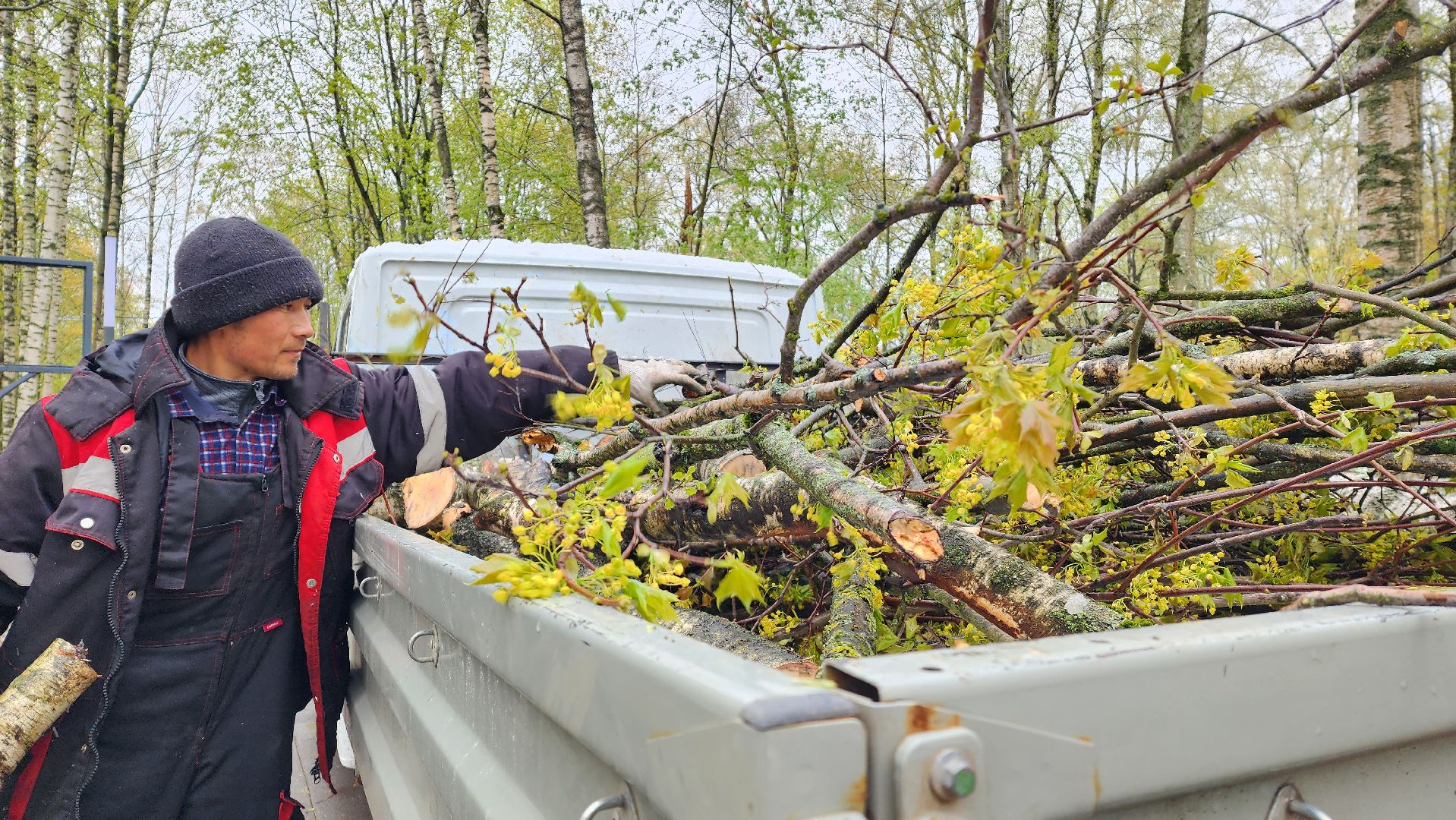 последствия непогоды, упавшие деревья, Лобня, Парк,