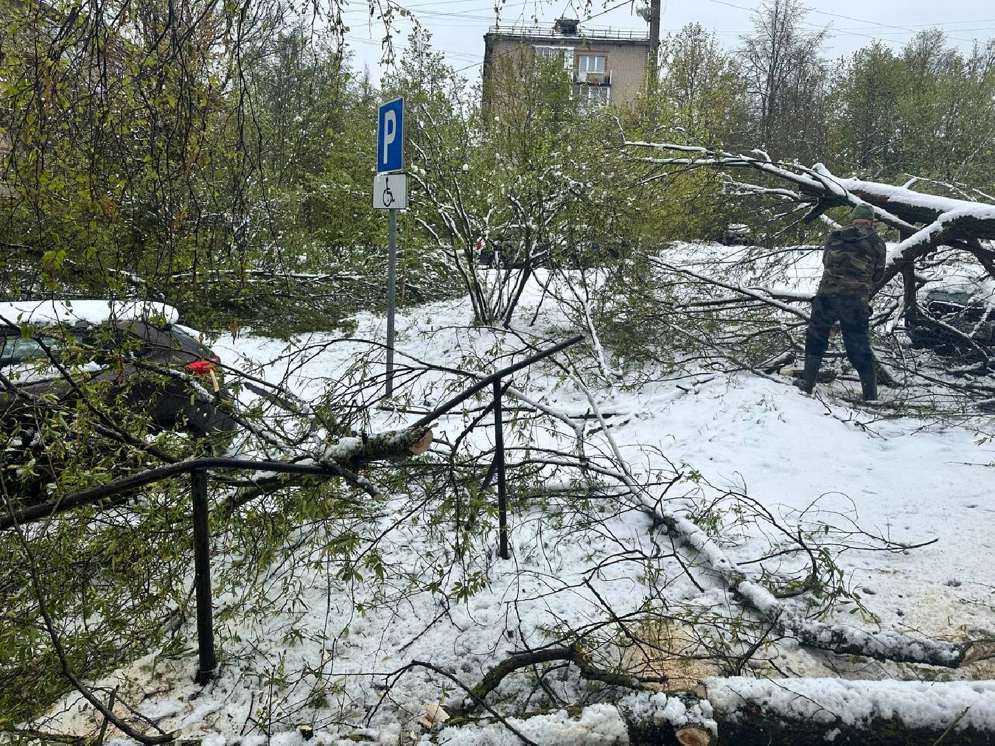 красноармейск, городской округ пушкинский, скандинавский циклон, майский снег, ликвидация последствий непогоды,